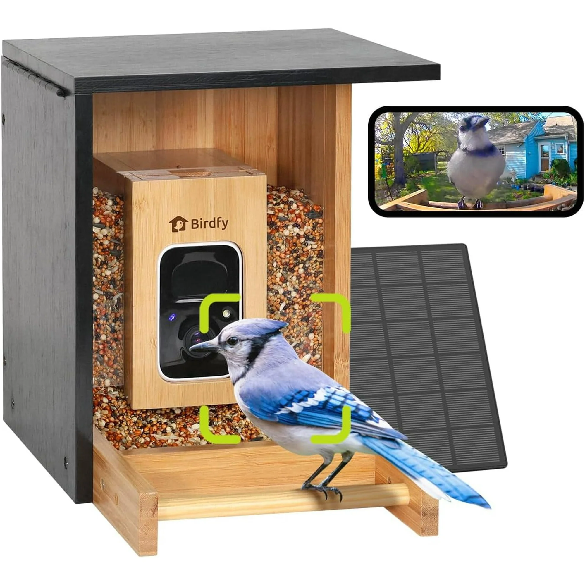 bamboo mini ai bird feeder