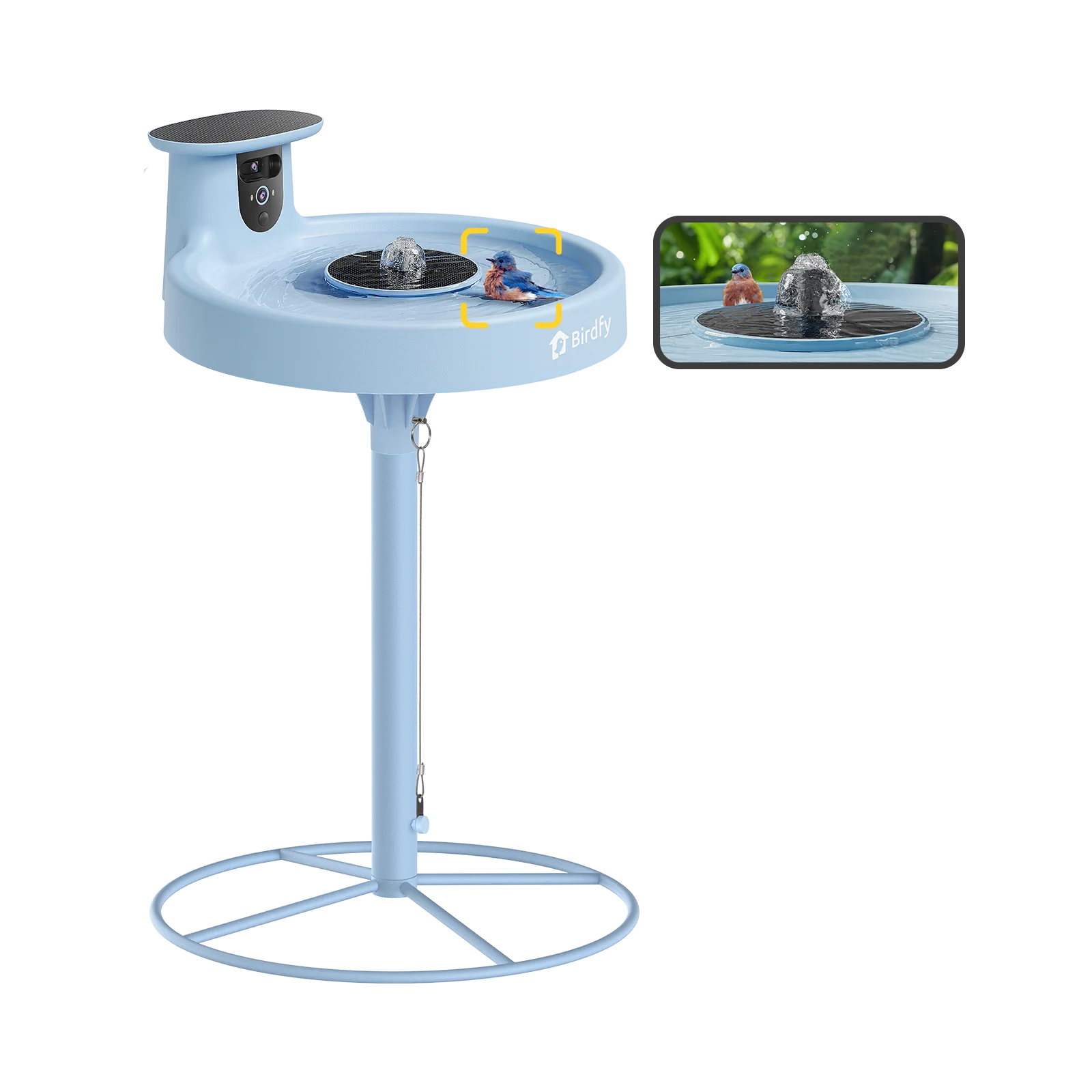 Bird bath with blue camera,AI+solar