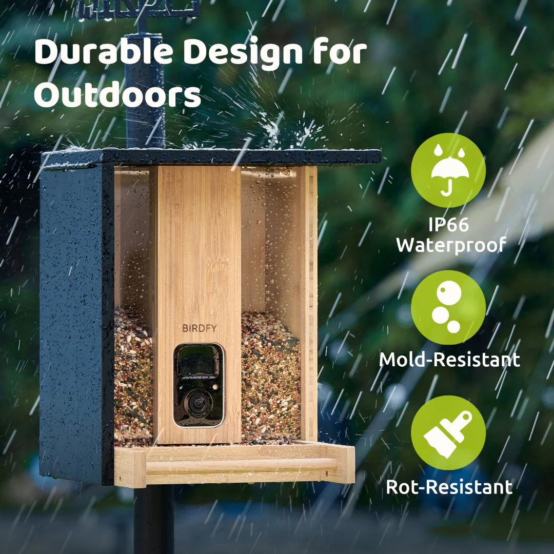 NETVUE by Birdfy Smart Bird Feeder with Camera Solar Powered 2K Live Steam&AI Bird Species Identification&Motion Detection,Birds Watching Wood Feeder for Chistmas Gift for mom,Children and Mysel（AI 7 Day Trial） - Image 6