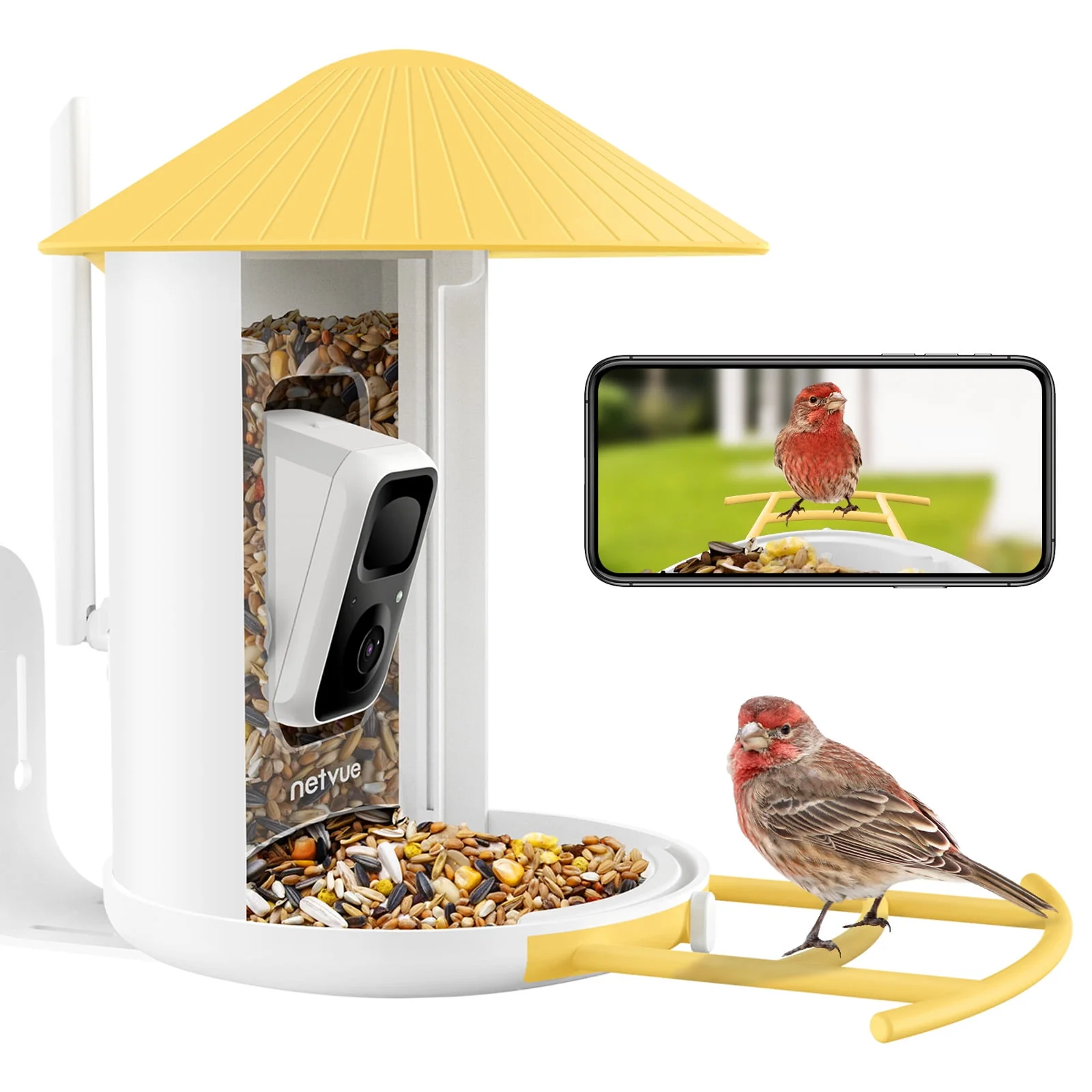Bird Feeder Camera Outdoor Feeder Bird, Netvue Birdfy Bird Watching with Camera for Bird Lover