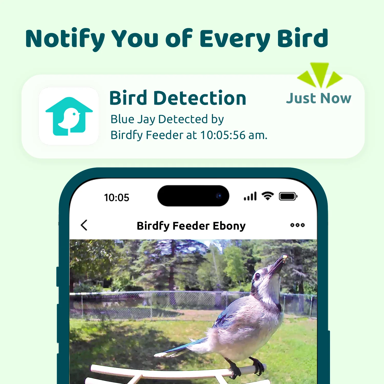 Birdfy Smart Bird Feeder with Camera, Bird Watching Camera with Solar Panel, AI Identify 6000+ Species, Eco-friendly Wooden, Ideal Gift, Ebony - Image 4