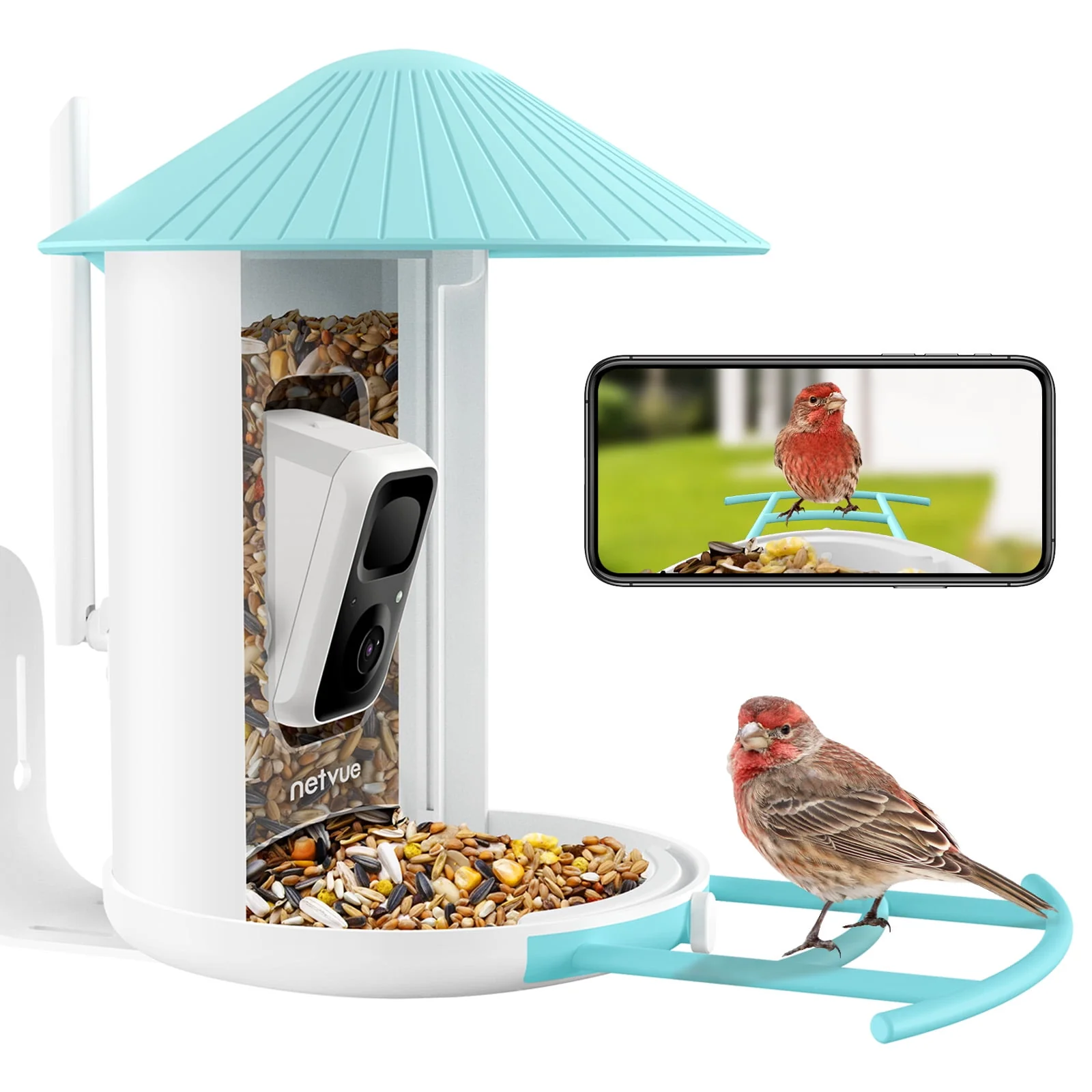 Bird Feeder with Camera, Netvue Birdfy Bird Feeders (lite) - Image 6