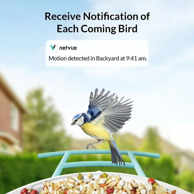 Bird Feeder with Camera, Netvue Birdfy Bird Feeders (lite) - Image 7
