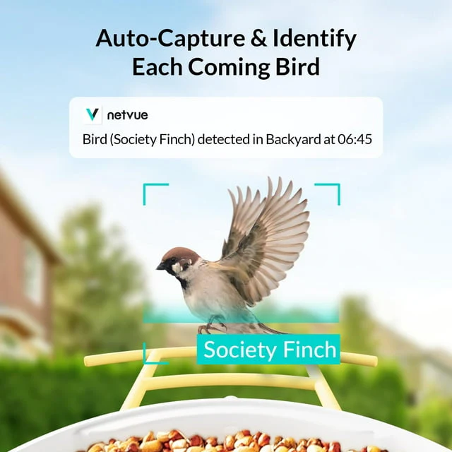 Bird Feeder with Camera(Birdfy AI+Solar) - Image 3