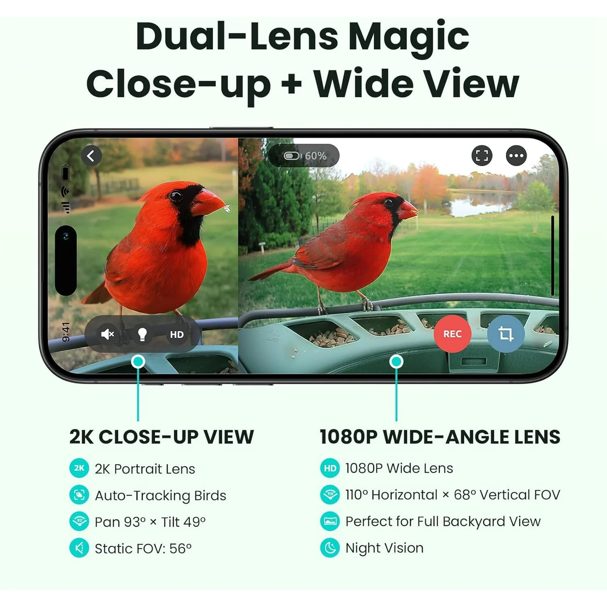Birdfy 2 Smart Bird Feeder with Camera, AI Identifies 6000+ Bird Species, Dual-Lens 2K+1080P Camera for Live Streaming & Close-Up Photos, Solar-Powered, Perfect Christmas Gift - Image 4