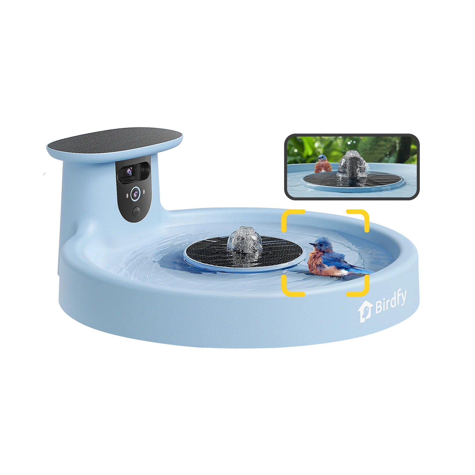 Birdfy Bird Bath with Camera, Ai