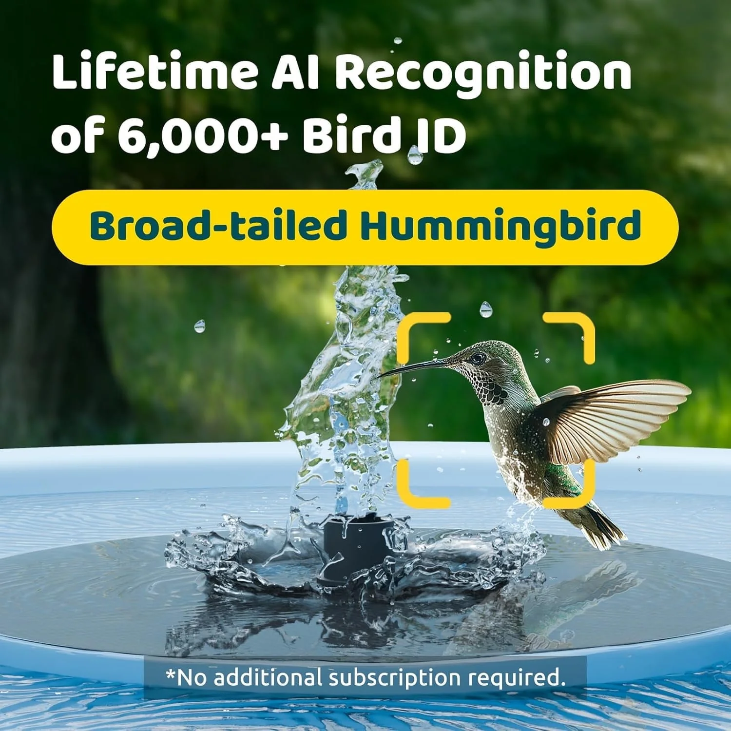 Birdfy Bird Bath with Camera, Ai - Image 2