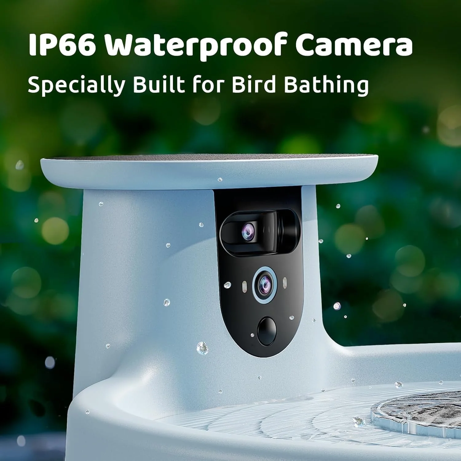 Birdfy Bird Bath with Camera, Ai - Image 5