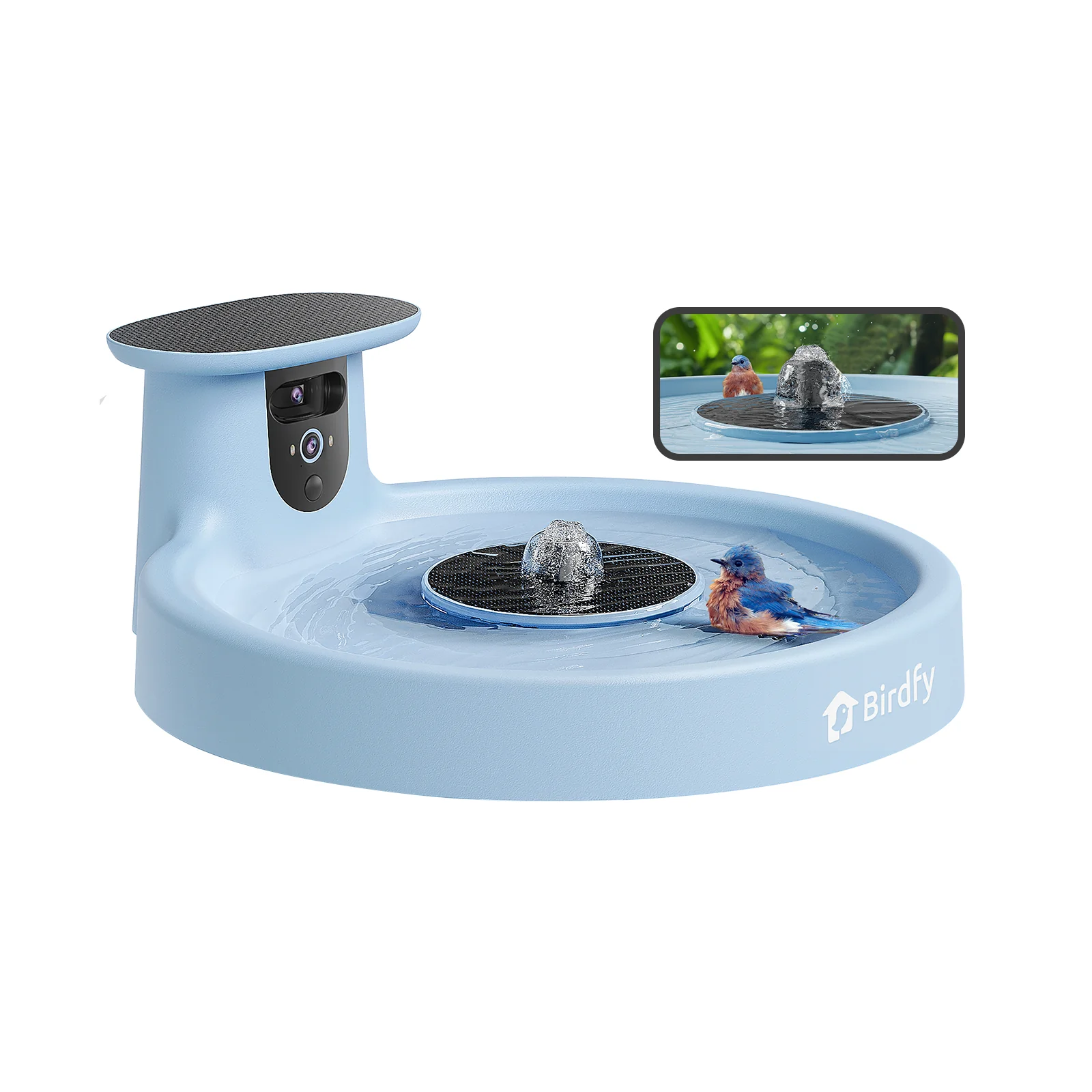 Birdfy Bird Bath with Camera, Lite