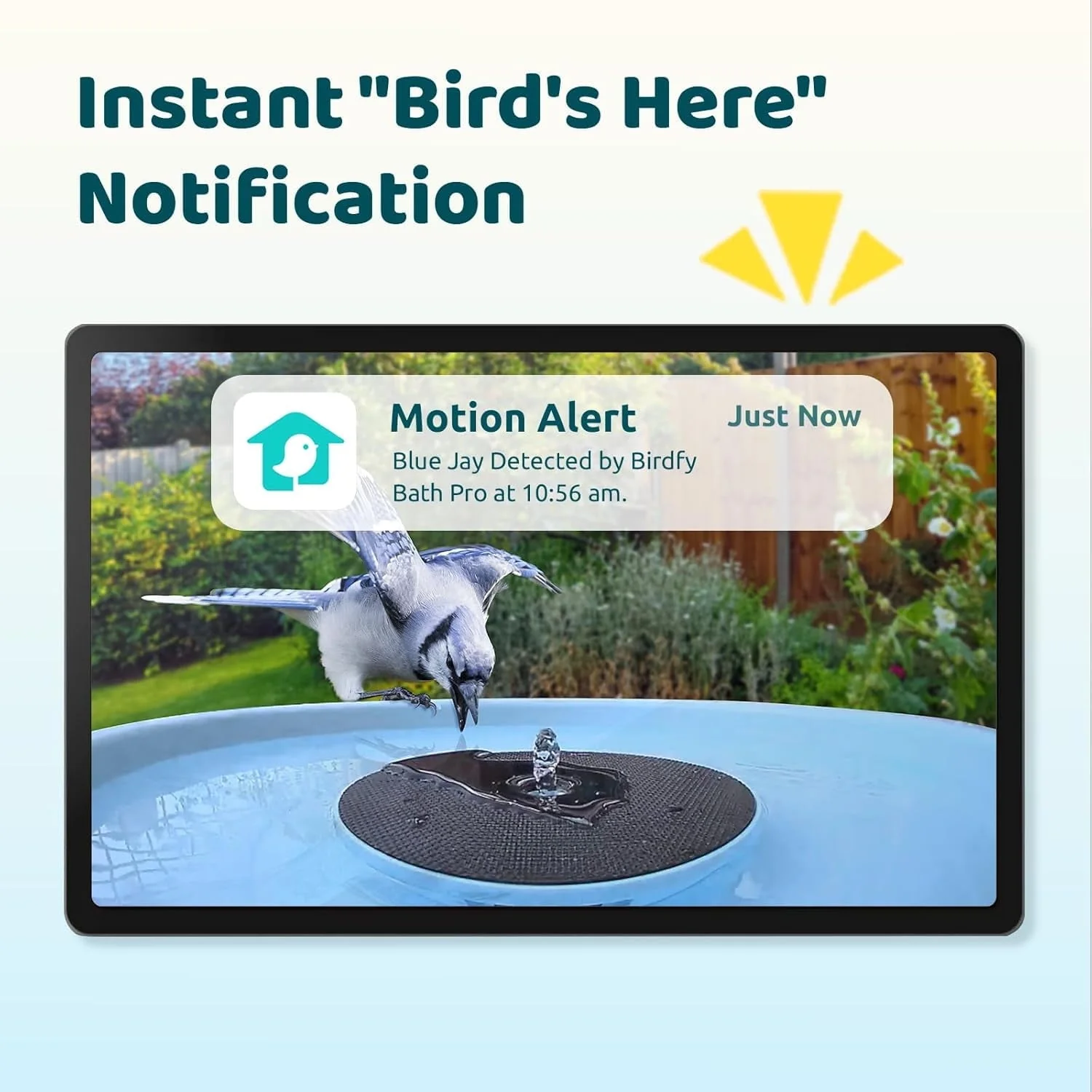 Birdfy Bird Bath with Camera, Lite - Image 3