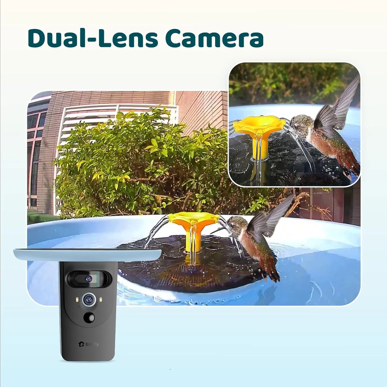 Birdfy Bird Bath with Camera, Lite - Image 4