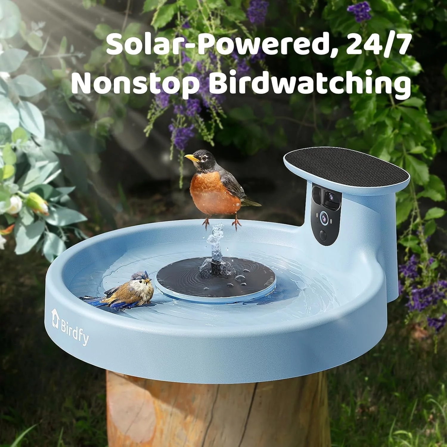 Birdfy Bird Bath with Camera, Lite - Image 6