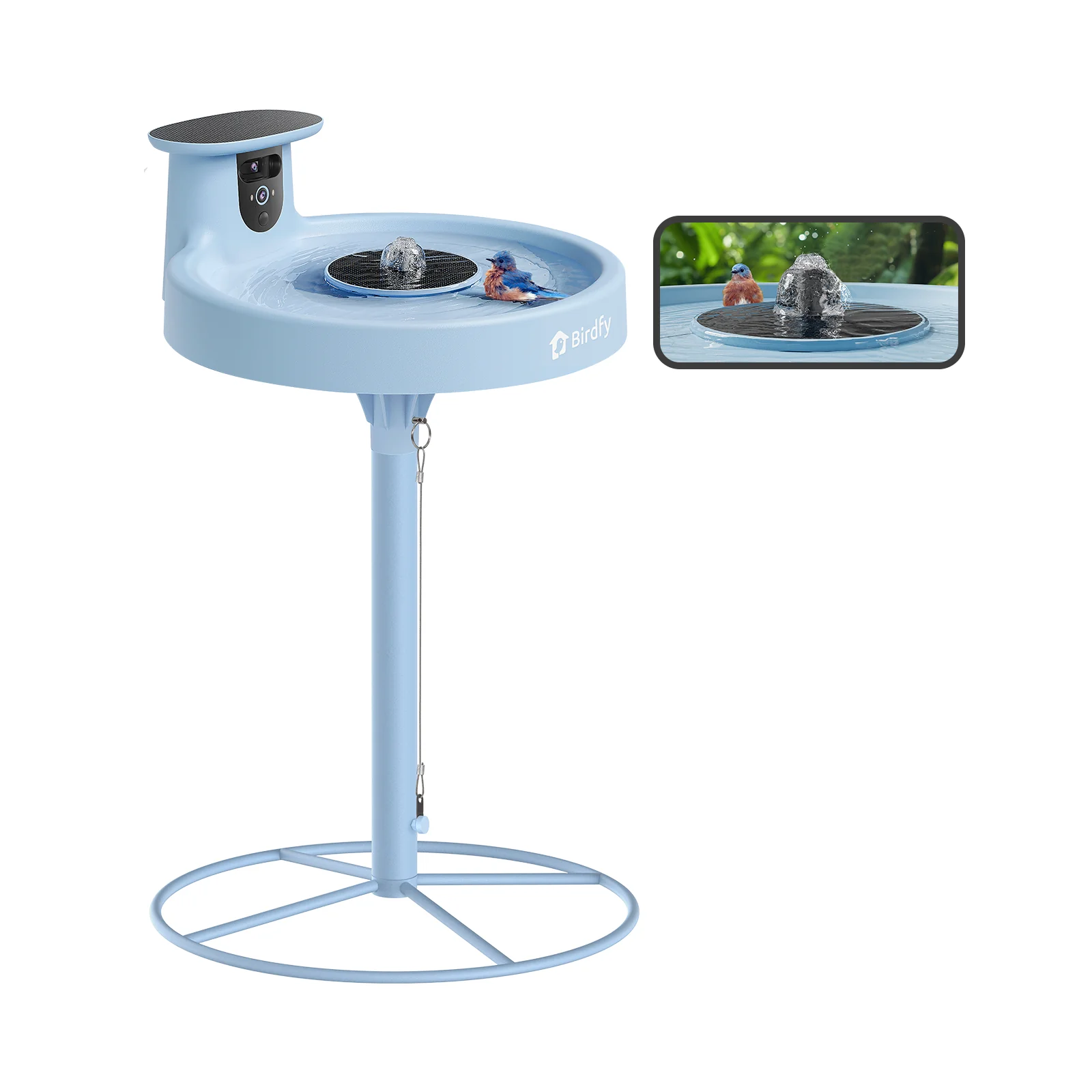 Birdfy Bird Bath with Camera, Lite+stand