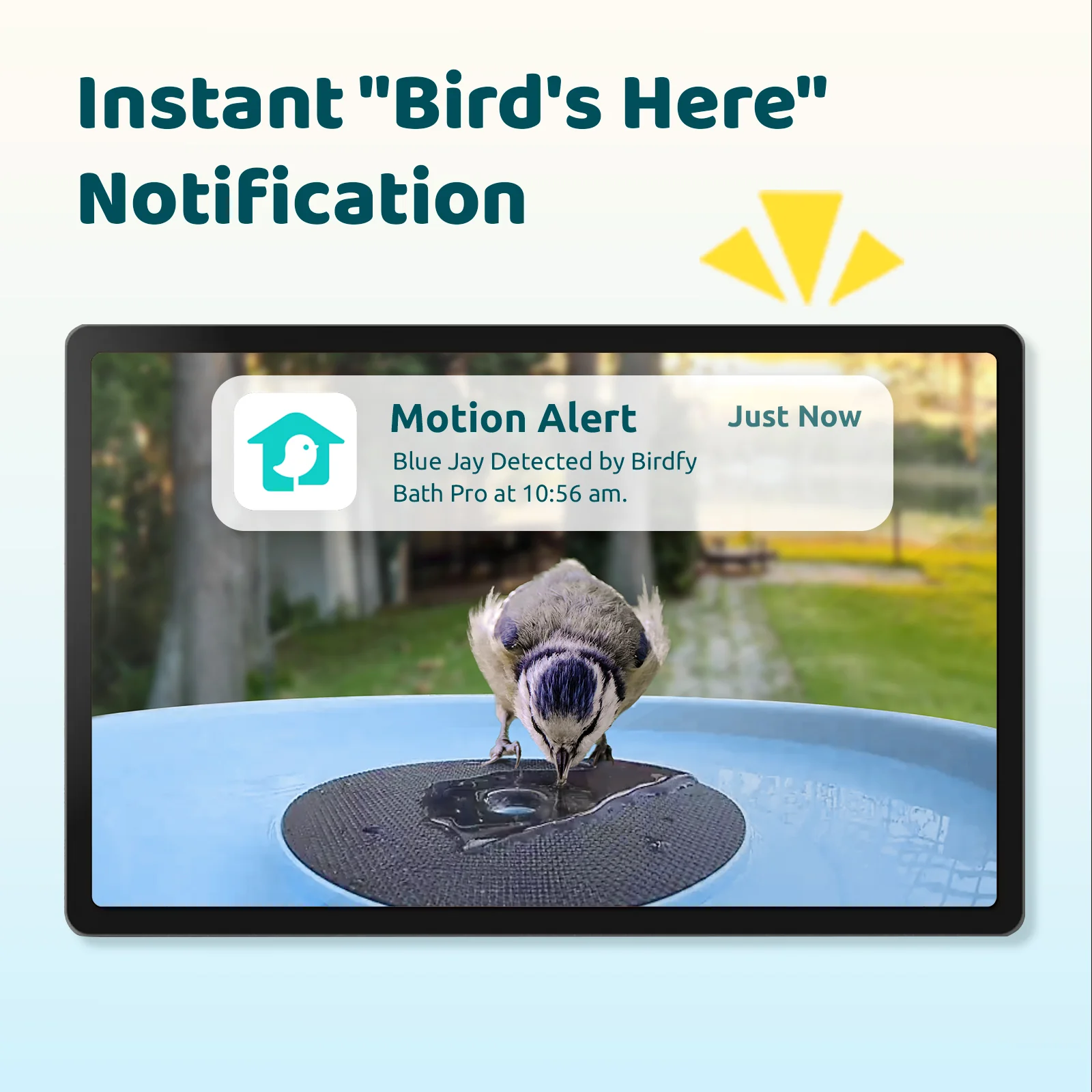 Birdfy Bird Bath with Camera, Lite+stand - Image 2