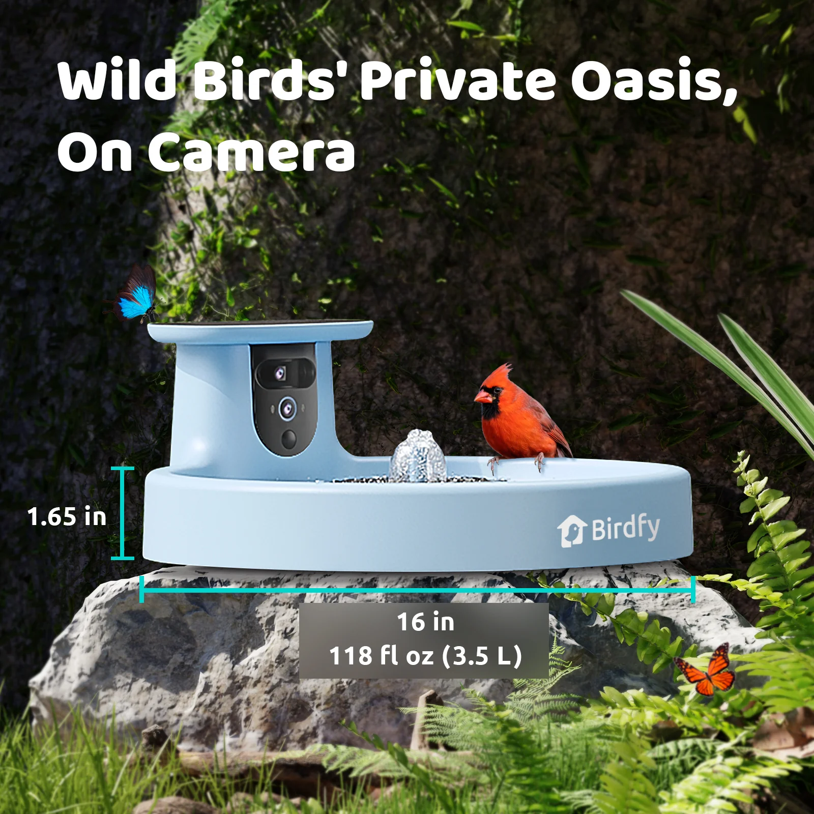 Birdfy Bird Bath with Camera, Lite+stand - Image 3