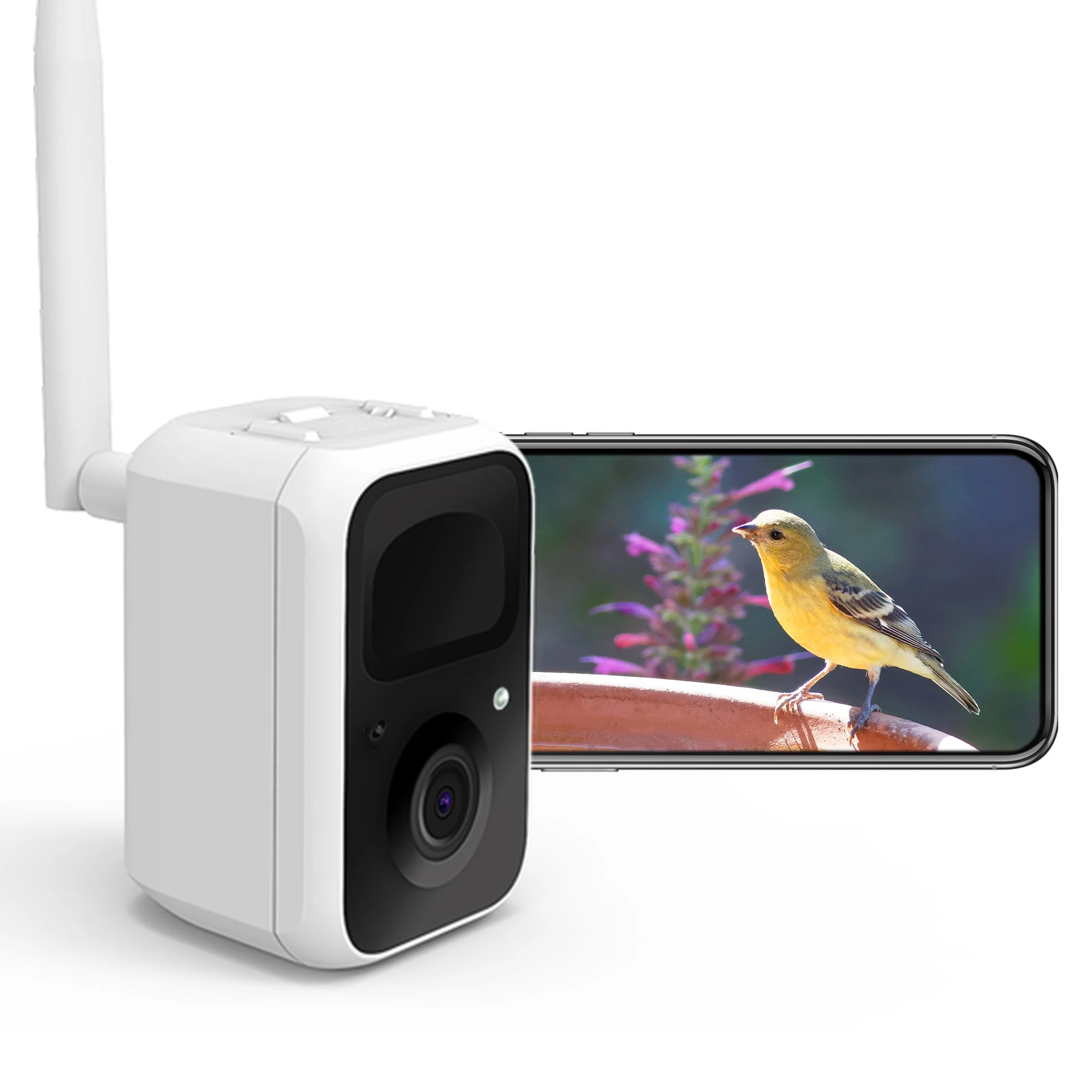 Birdfy Camera Smart Bird Camera for Wild Bird Watching and Recording