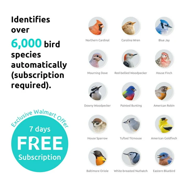 Birdfy Camera Smart Bird Camera for Wild Bird Watching and Recording - Image 3