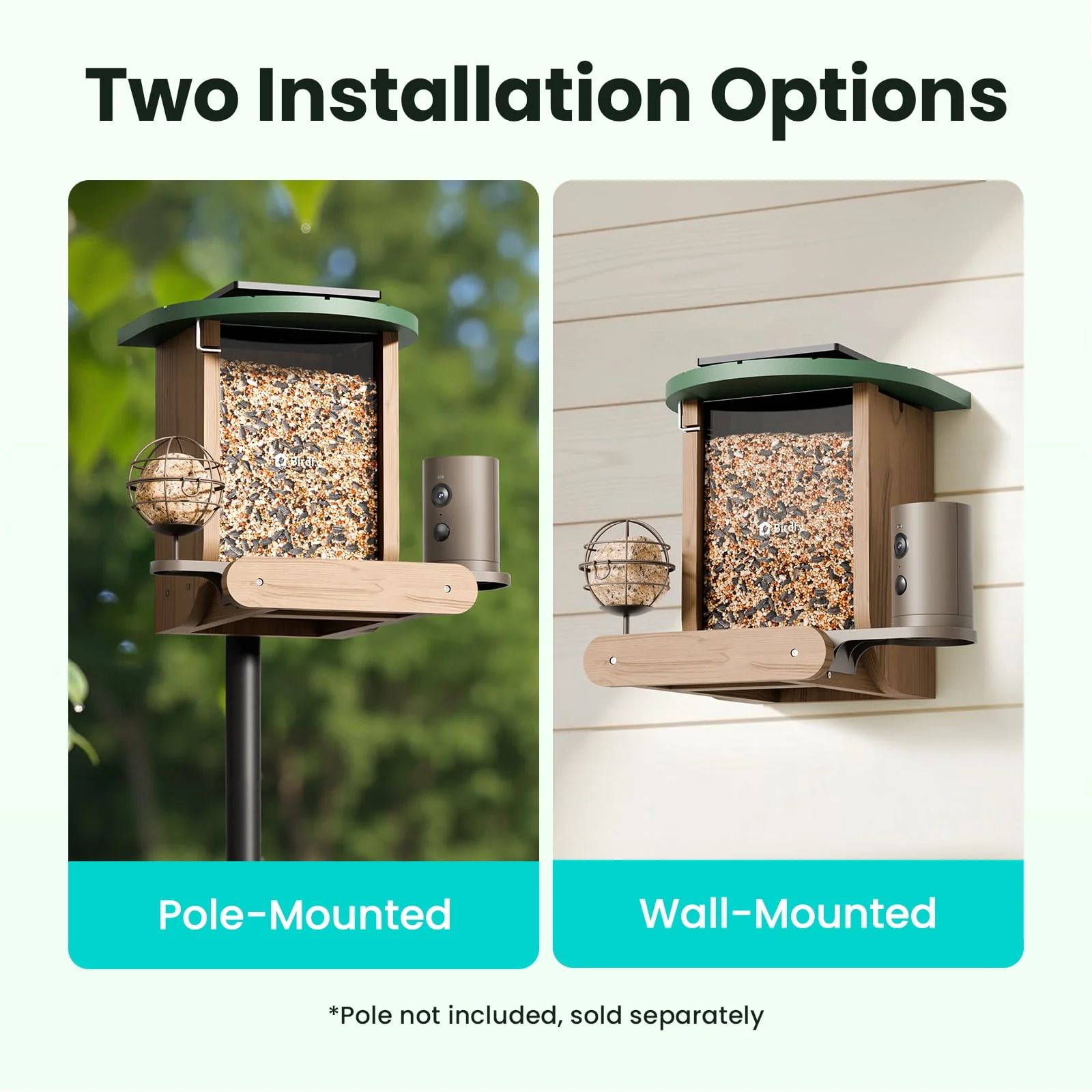 Birdfy Feeder Cedar D - Smart Bird Feeder with Camera, 1080P FHD 60FPS, AI Bird ID, Solar Powered, Suet Ball Holder - Image 6