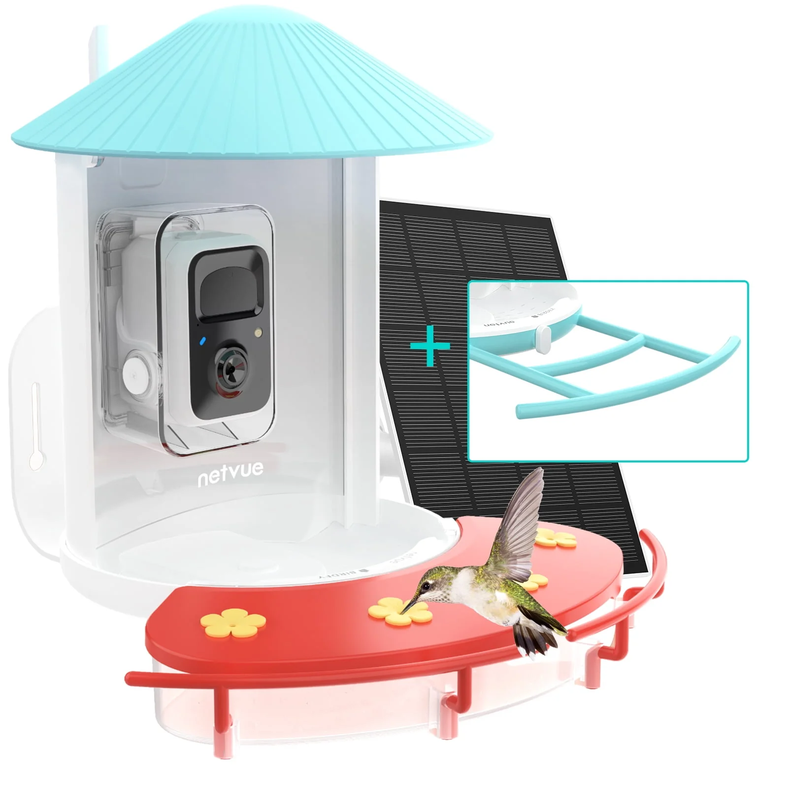 Birdfy Hummingbird Feeder Camera