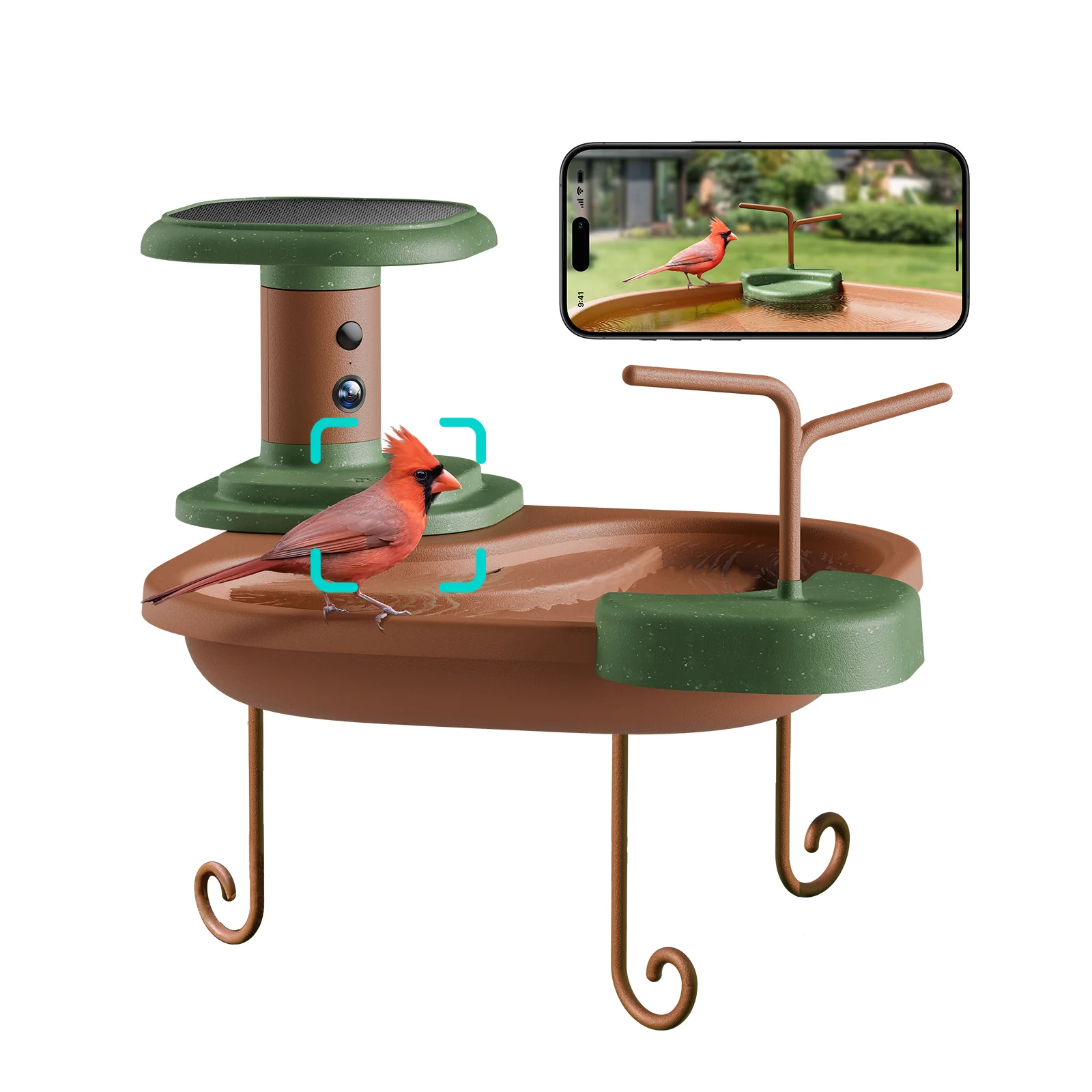 Birdfy Smart Bird Bath with Camera Solar Powered, AI Identify, Live View, jolly