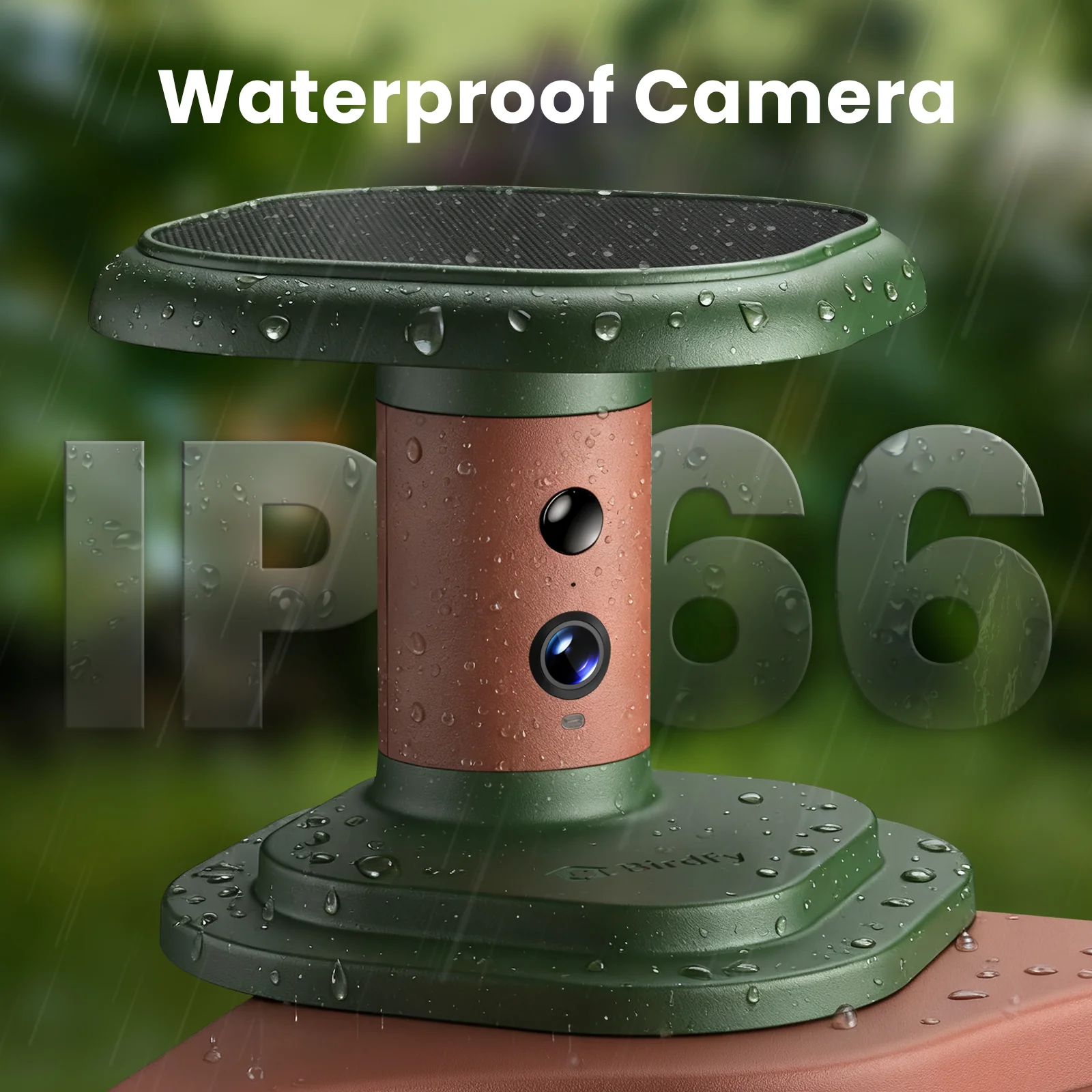 Birdfy Smart Bird Bath with Camera Solar Powered, AI Identify, Live View, jolly - Image 4