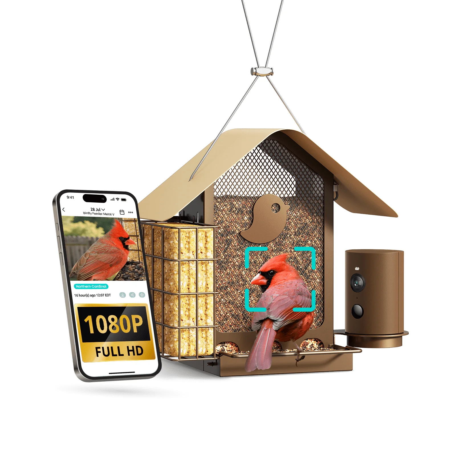Birdfy Smart Bird Feeder with Camera, 1080P HD 60FPS Video, AI Bird Identification Lifetime Free, Night Vision, Metal Bird Feeder, Gift for Bird Lovers, Metal V AI