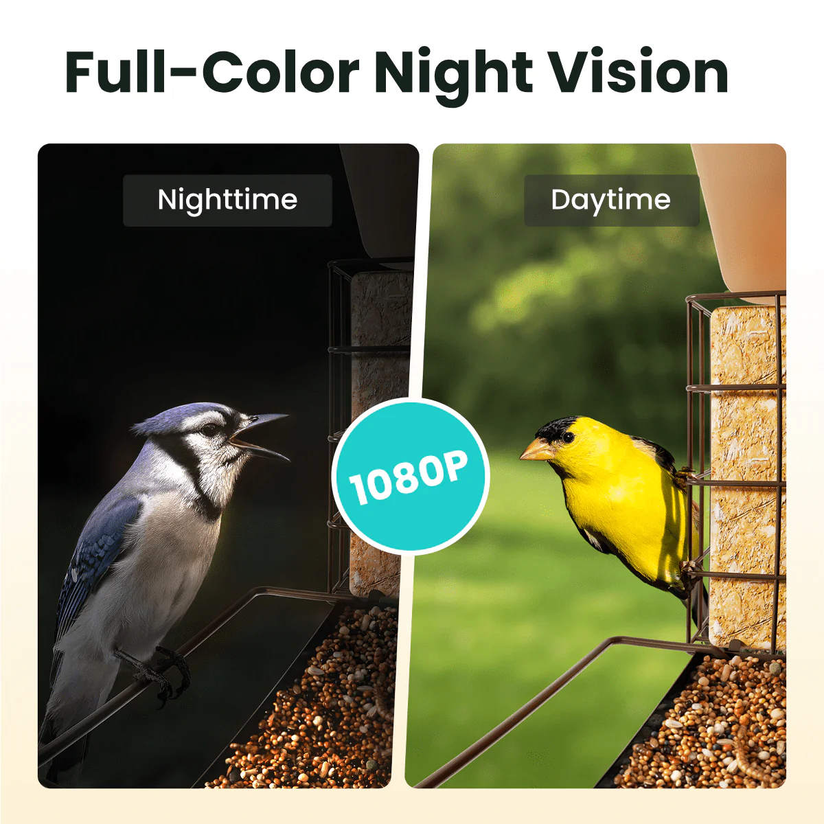 Birdfy Smart Bird Feeder with Camera, 1080P HD 60FPS Video, AI Bird Identification Lifetime Free, Night Vision, Metal Bird Feeder, Gift for Bird Lovers, Metal V AI - Image 2