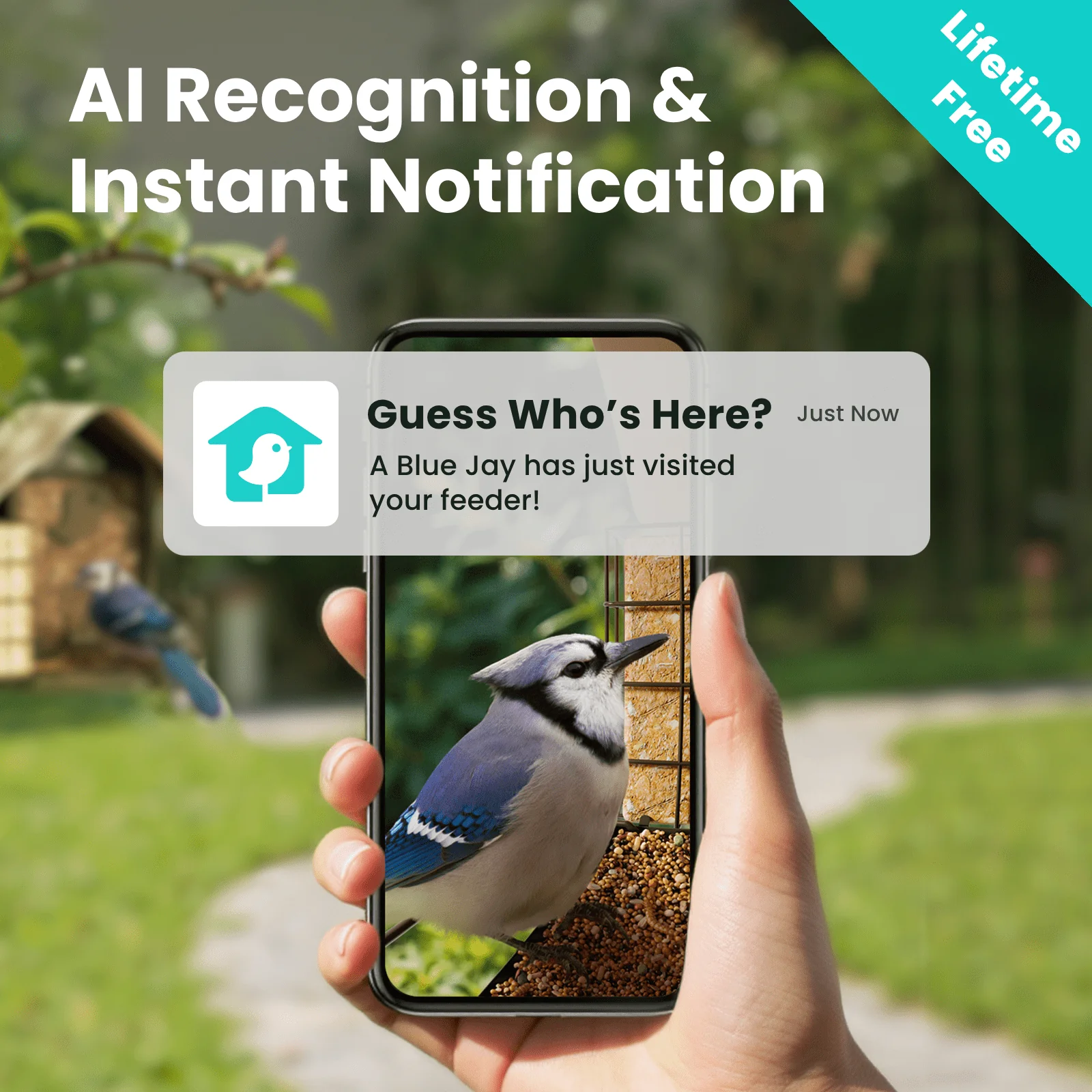 Birdfy Smart Bird Feeder with Camera, 1080P HD 60FPS Video, AI Bird Identification Lifetime Free, Night Vision, Metal Bird Feeder, Gift for Bird Lovers, Metal V AI - Image 3