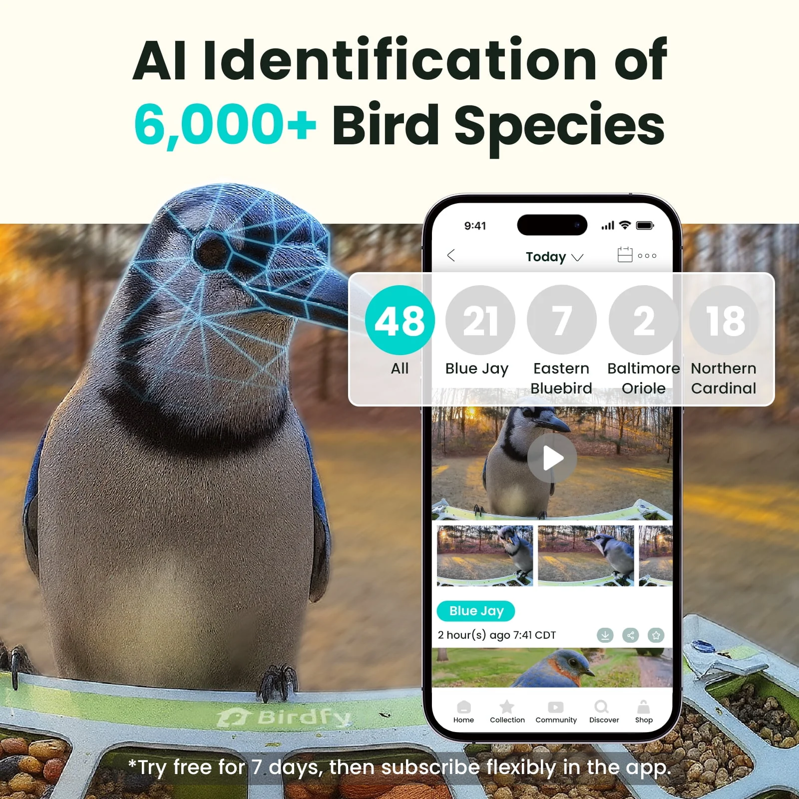 Birdfy Smart Bird Feeder with Camera, AI Identification for 6000+ Species, Automatic Bird Visit Recording & Notifications, Free App, Durable Metal Construction - Image 2