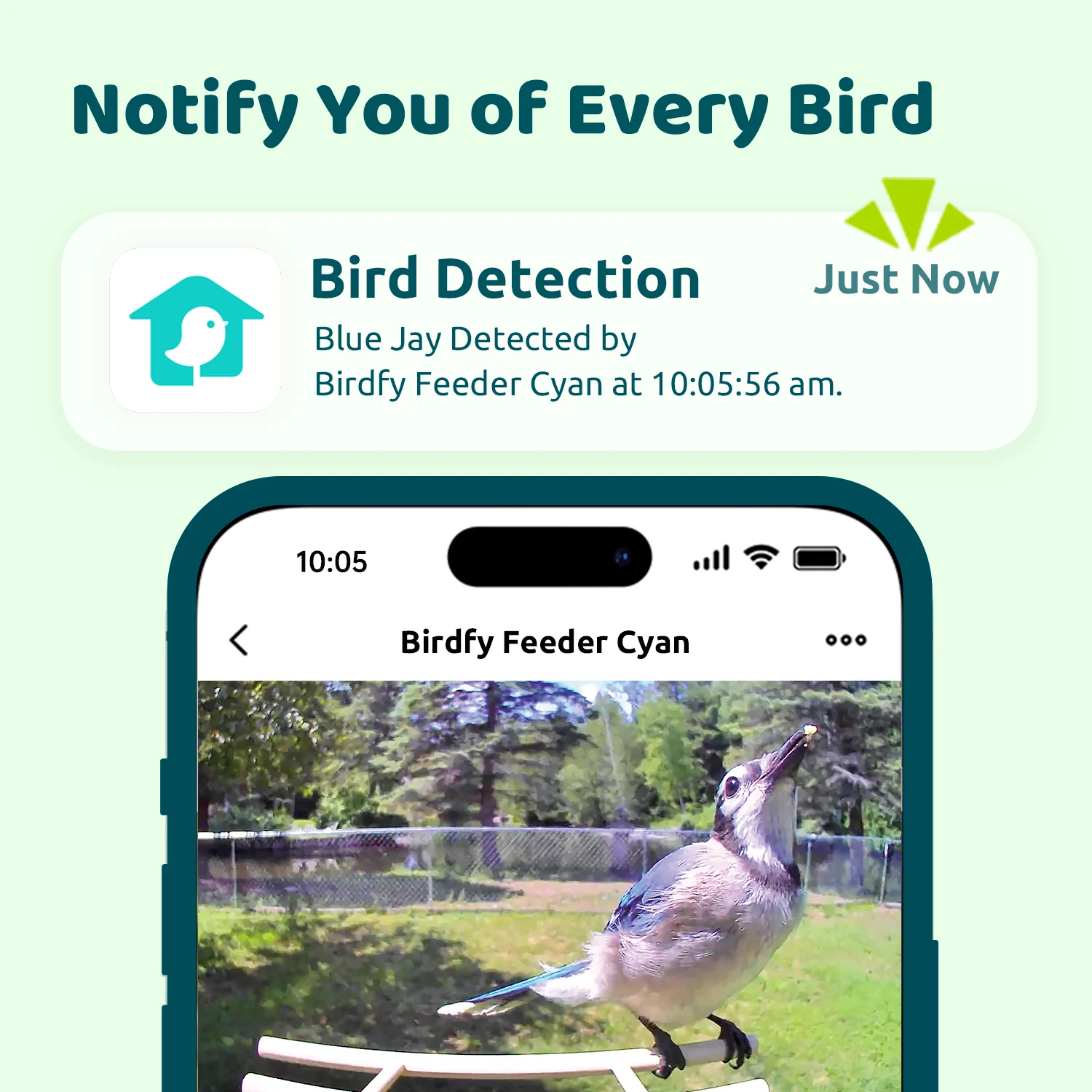 Birdfy Smart Bird Feeder with Camera, AI Identify 6000+ Species, Solar Powered,Eco-friendly Wooden, Ideal Gift, Cyan - Image 2
