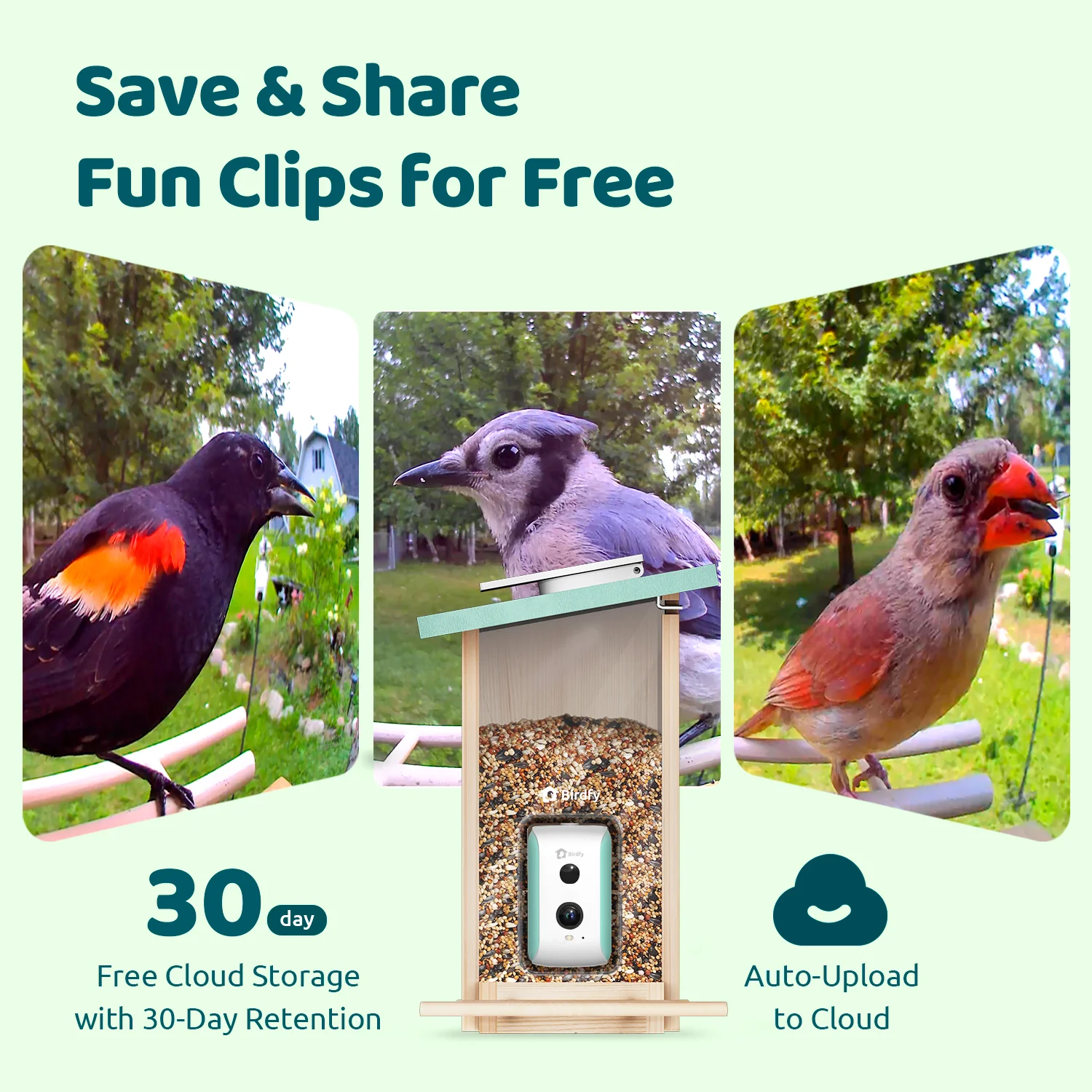 Birdfy Smart Bird Feeder with Camera, AI Identify 6000+ Species, Solar Powered,Eco-friendly Wooden, Ideal Gift, Cyan - Image 7