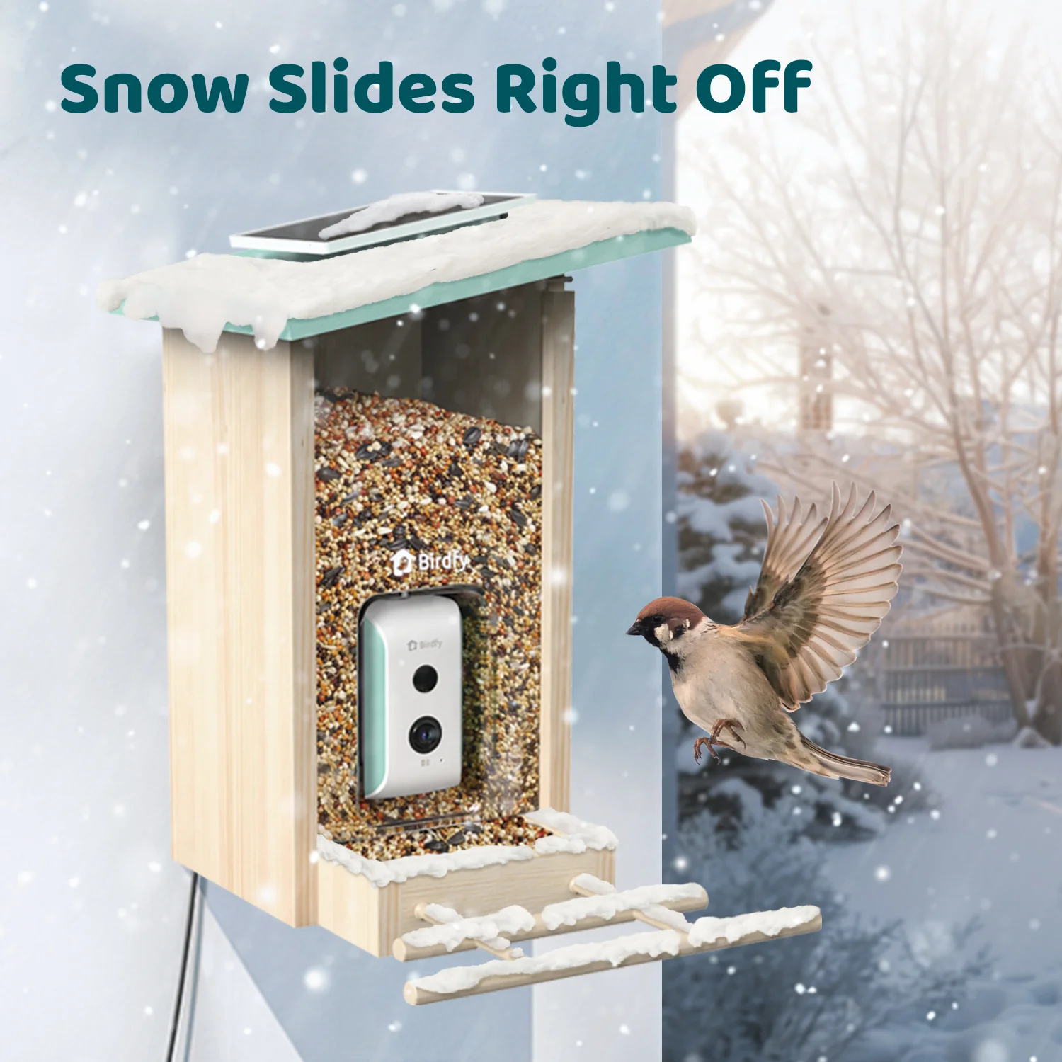 Birdfy Smart Bird Feeder with Camera, AI Identify 6000+ Species, Solar Powered,Eco-friendly Wooden, Ideal Gift, Cyan - Image 9