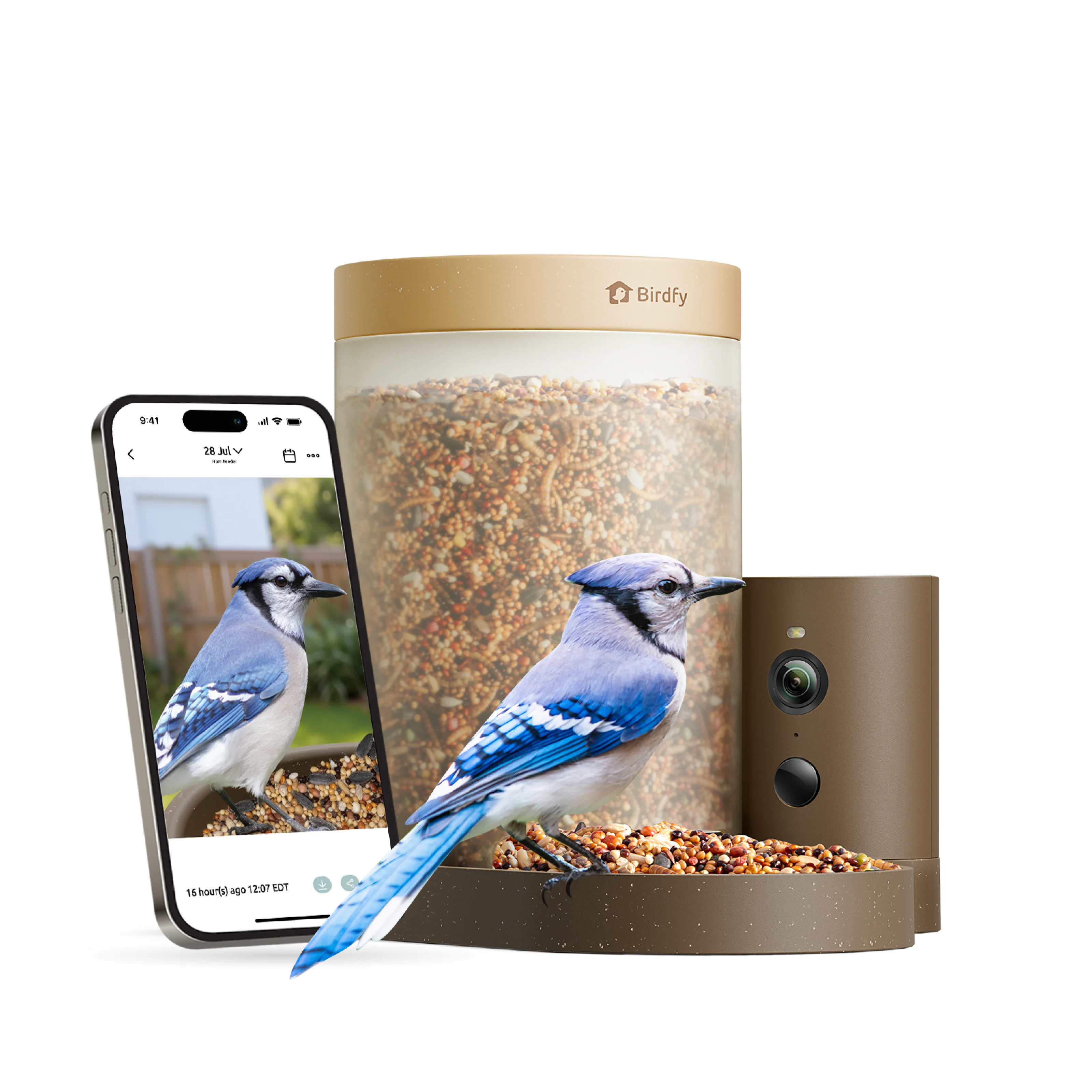 Birdfy Smart Bird Feeder with Camera, Rookie