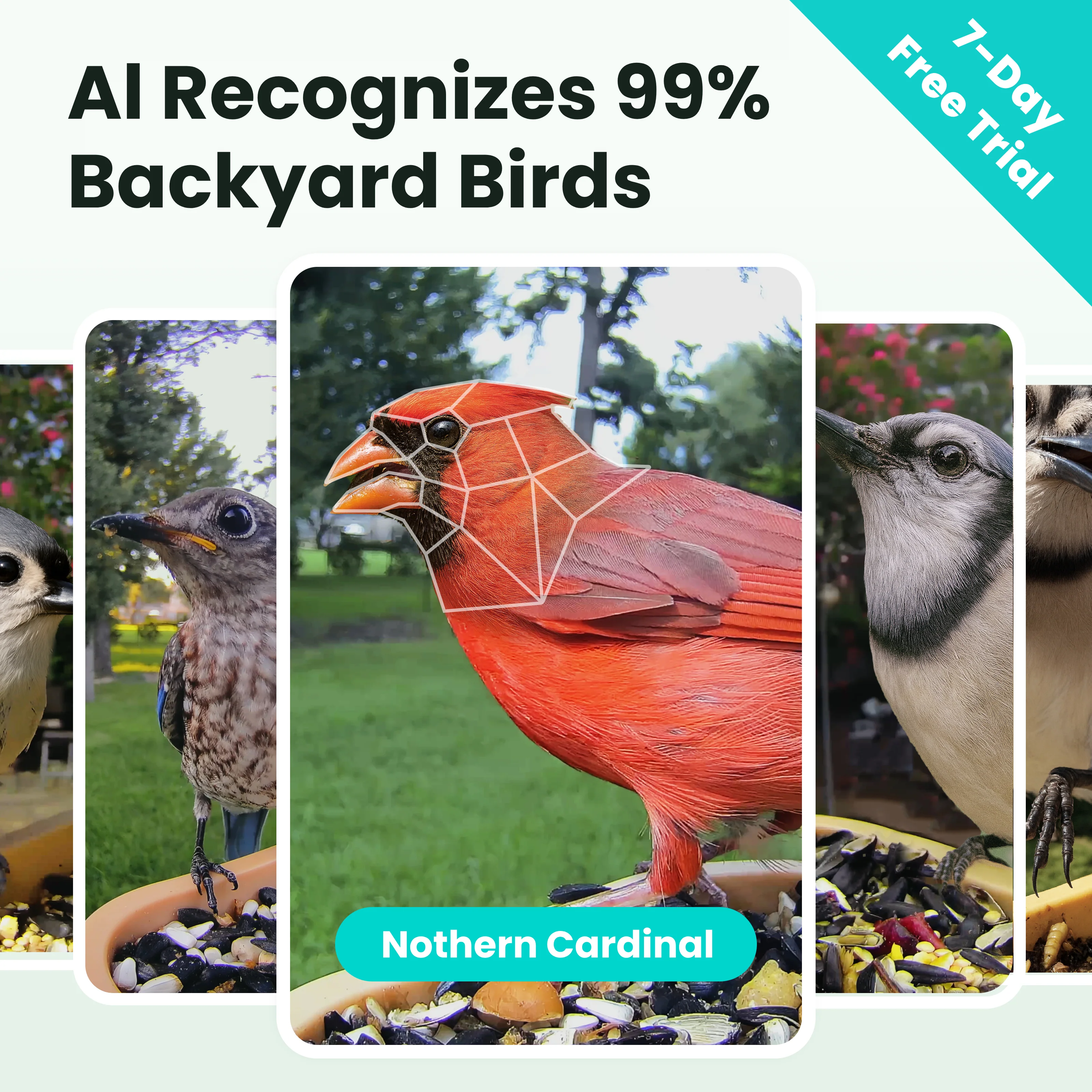 Birdfy Smart Bird Feeder with Camera, Rookie - Image 2
