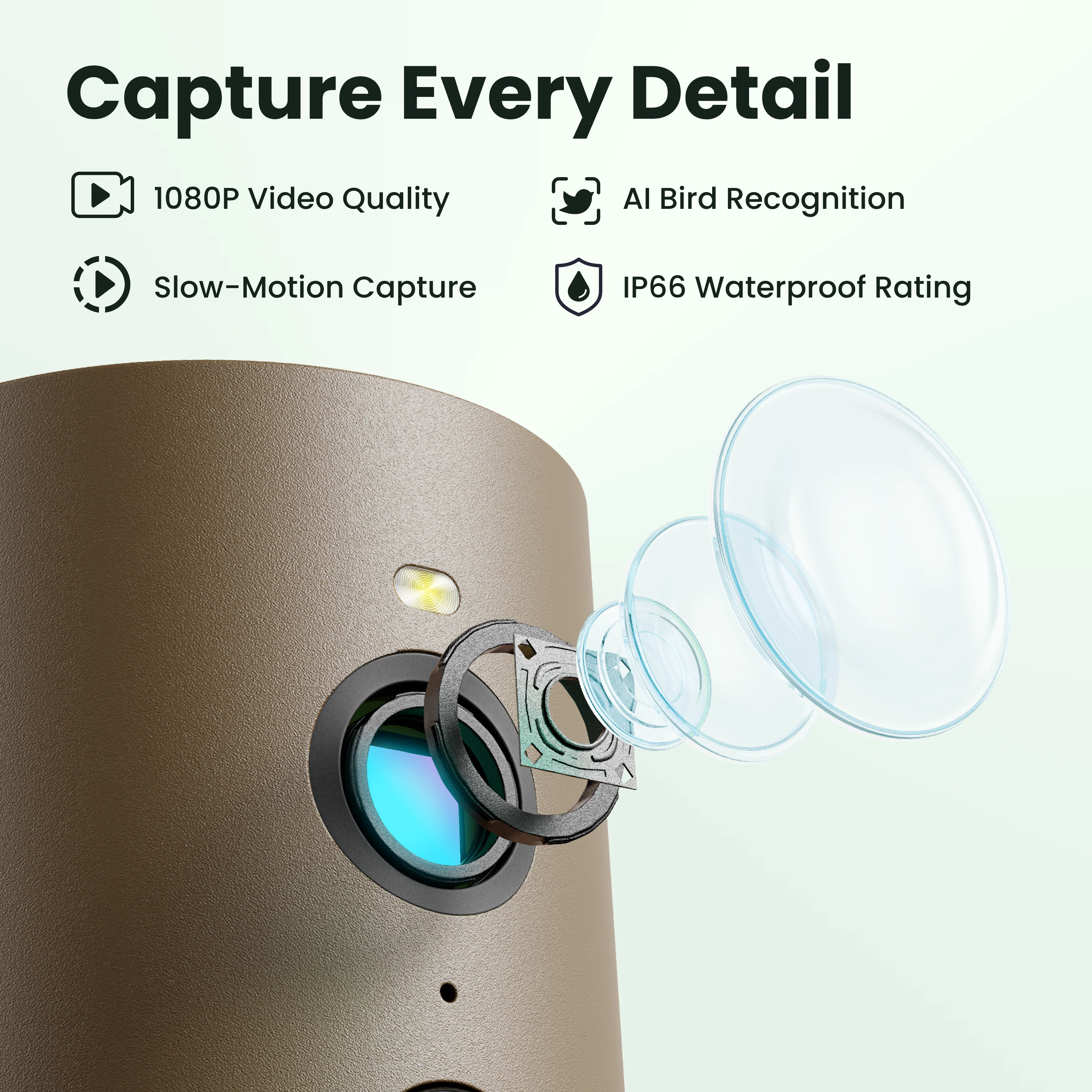 Birdfy Smart Bird Feeder with Camera, Rookie - Image 6