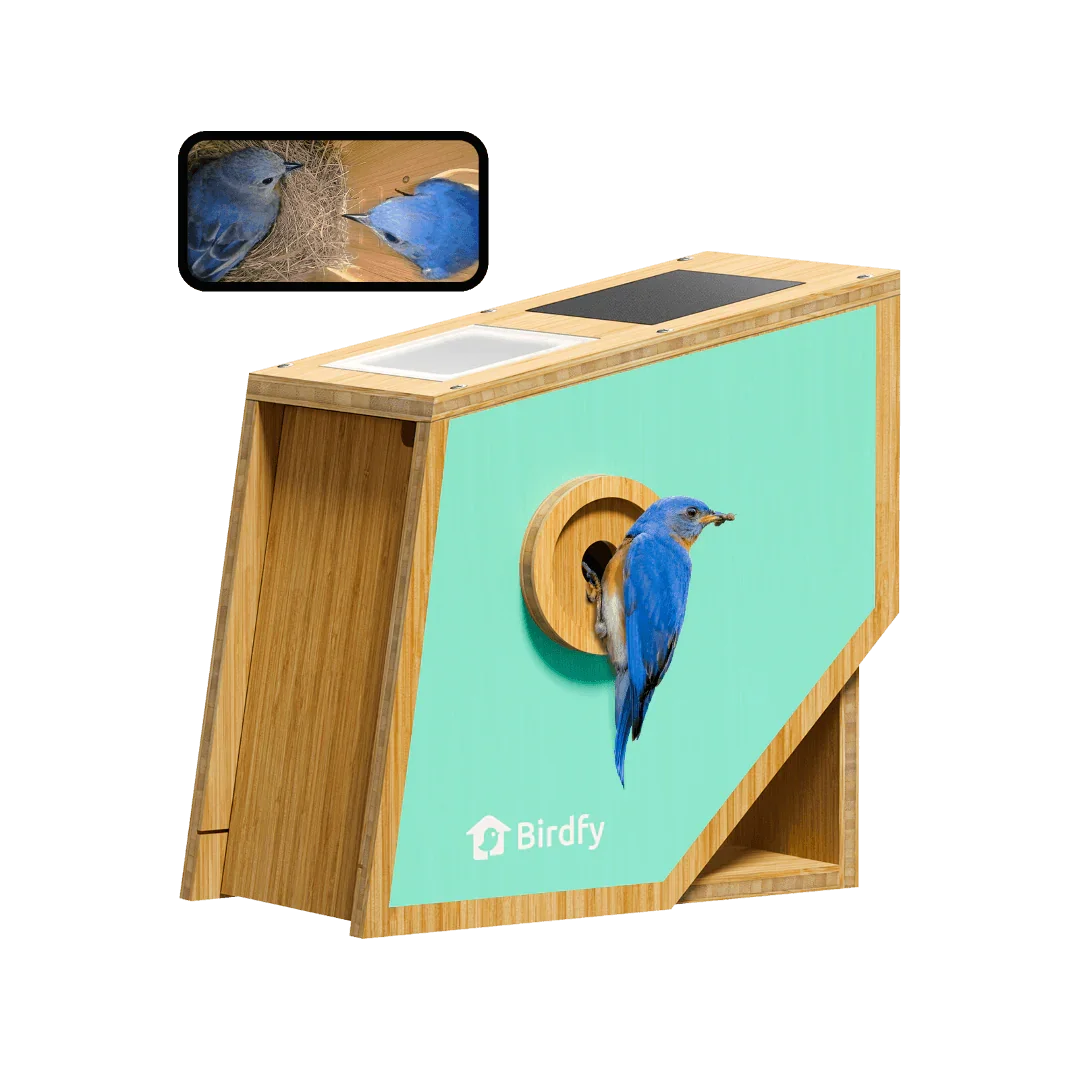 Birdfy Smart Bird Houses for Outside Solar Powered, Polygon
