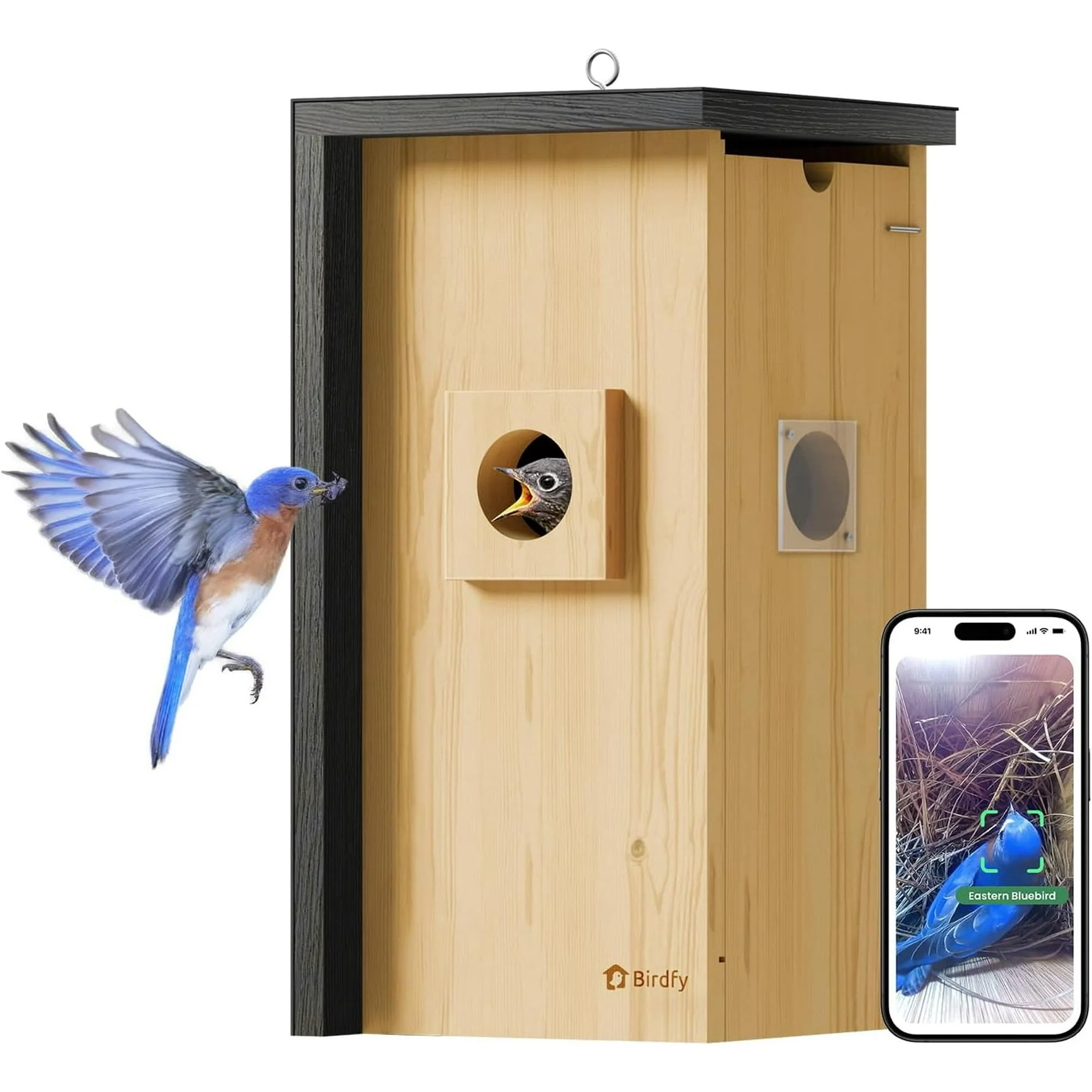 Birdfy Smart Bird Houses With 1080P HD Bird Feeder Camera, Perfect Viewing Bird Nesting and Hatching