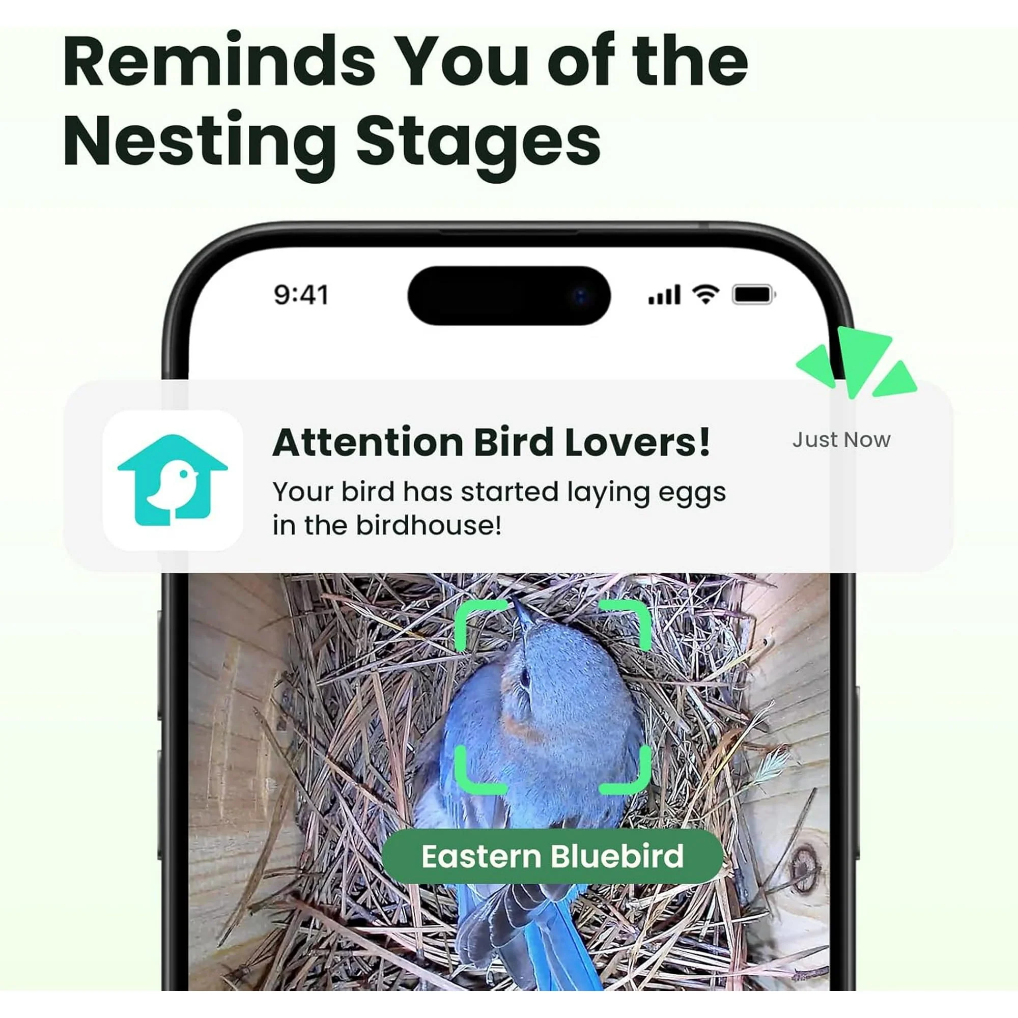 Birdfy Smart Bird Houses With 1080P HD Bird Feeder Camera, Perfect Viewing Bird Nesting and Hatching - Image 2