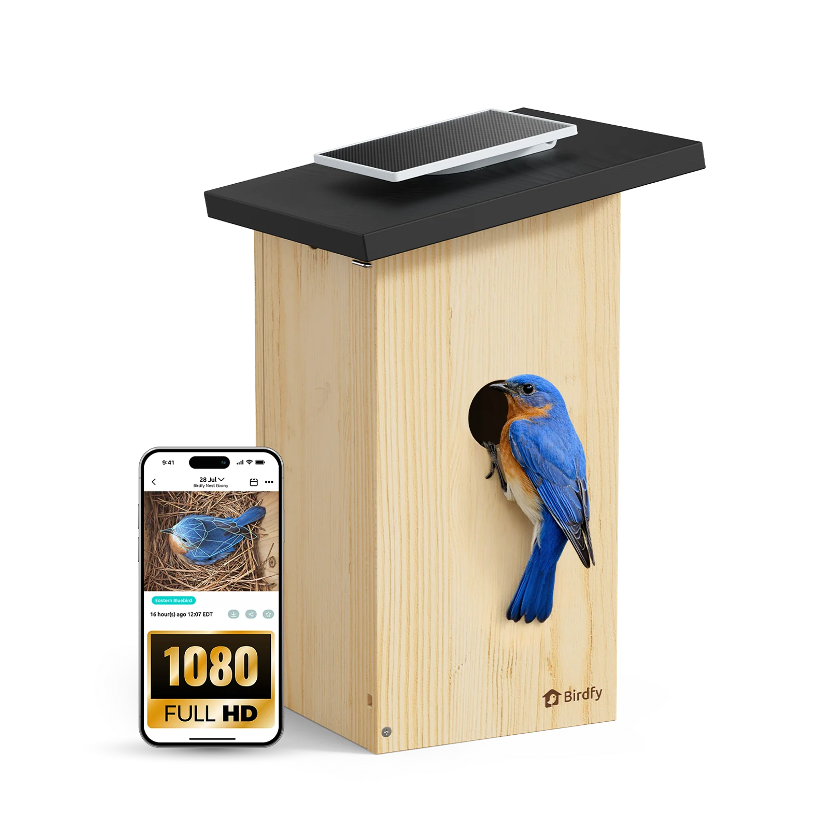 Birdfy Smart Bird Houses With 1080P HD Bird Feeder Camera, Perfect Viewing Bird Nesting and Hatching, Solar Powered, Cyan