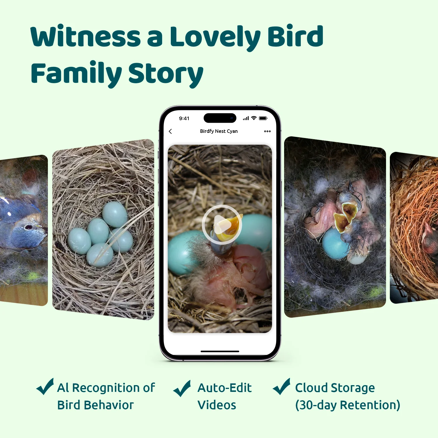 Birdfy Smart Bird Houses With 1080P HD Bird Feeder Camera, Perfect Viewing Bird Nesting and Hatching, Solar Powered, Cyan - Image 3