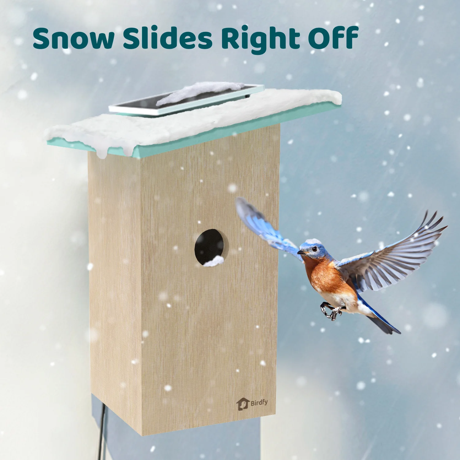 Birdfy Smart Bird Houses With 1080P HD Bird Feeder Camera, Perfect Viewing Bird Nesting and Hatching, Solar Powered, Cyan - Image 9