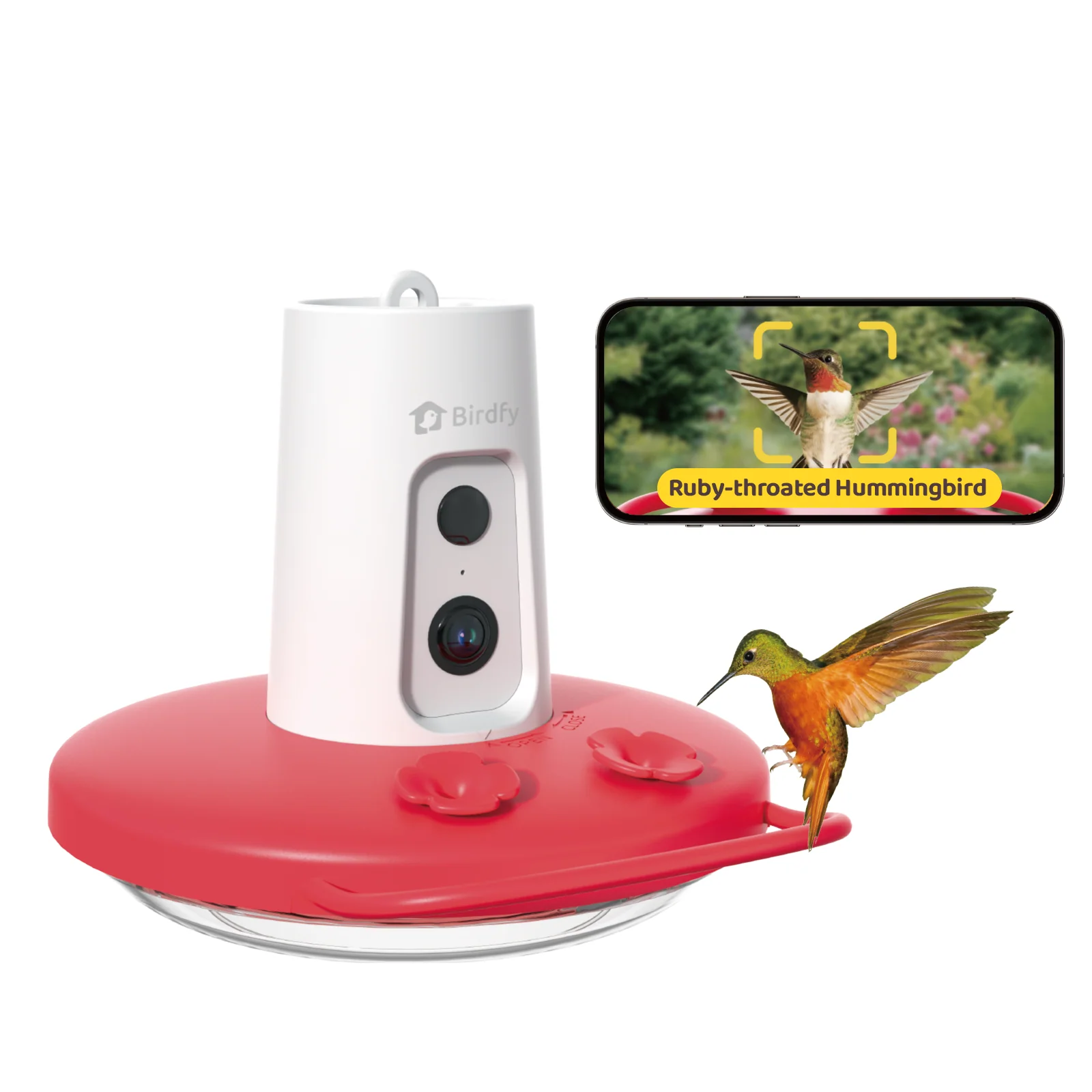 Hummingbird Feeder ruby