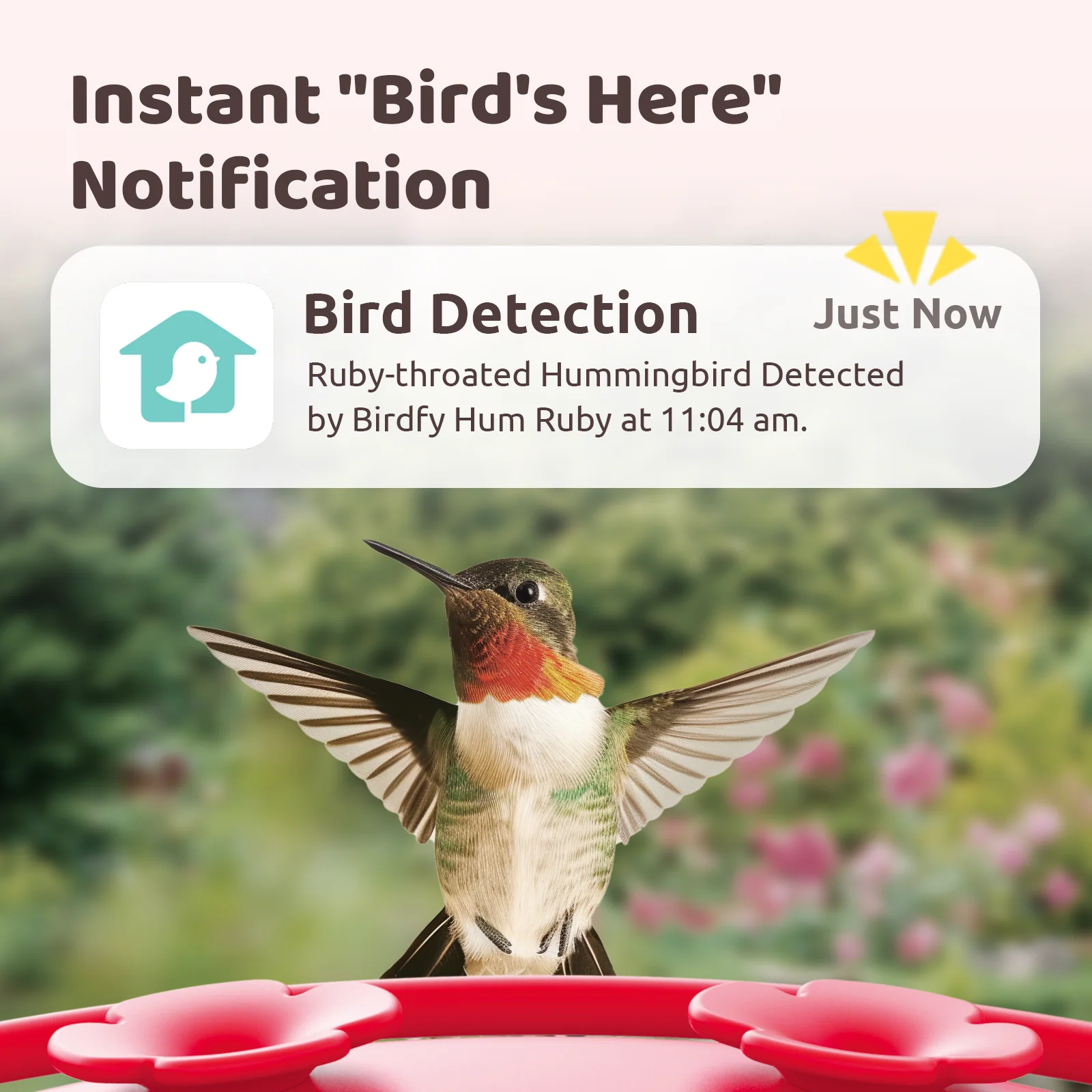 Hummingbird Feeder ruby - Image 2