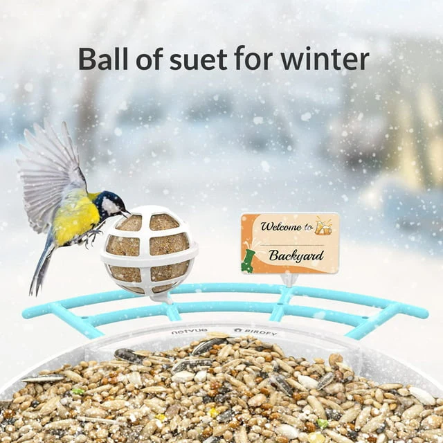 Netvue Bird feeder Birdfy Lite Pro+Solar - Image 3