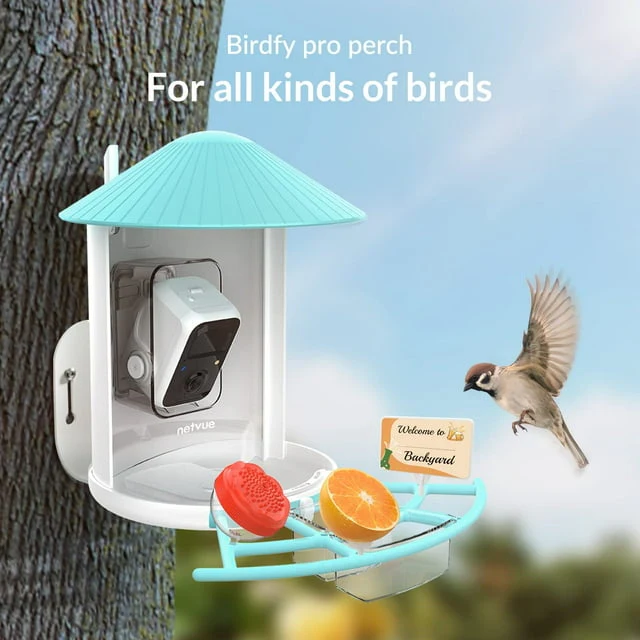 Netvue Bird feeder Birdfy Lite Pro+Solar - Image 4