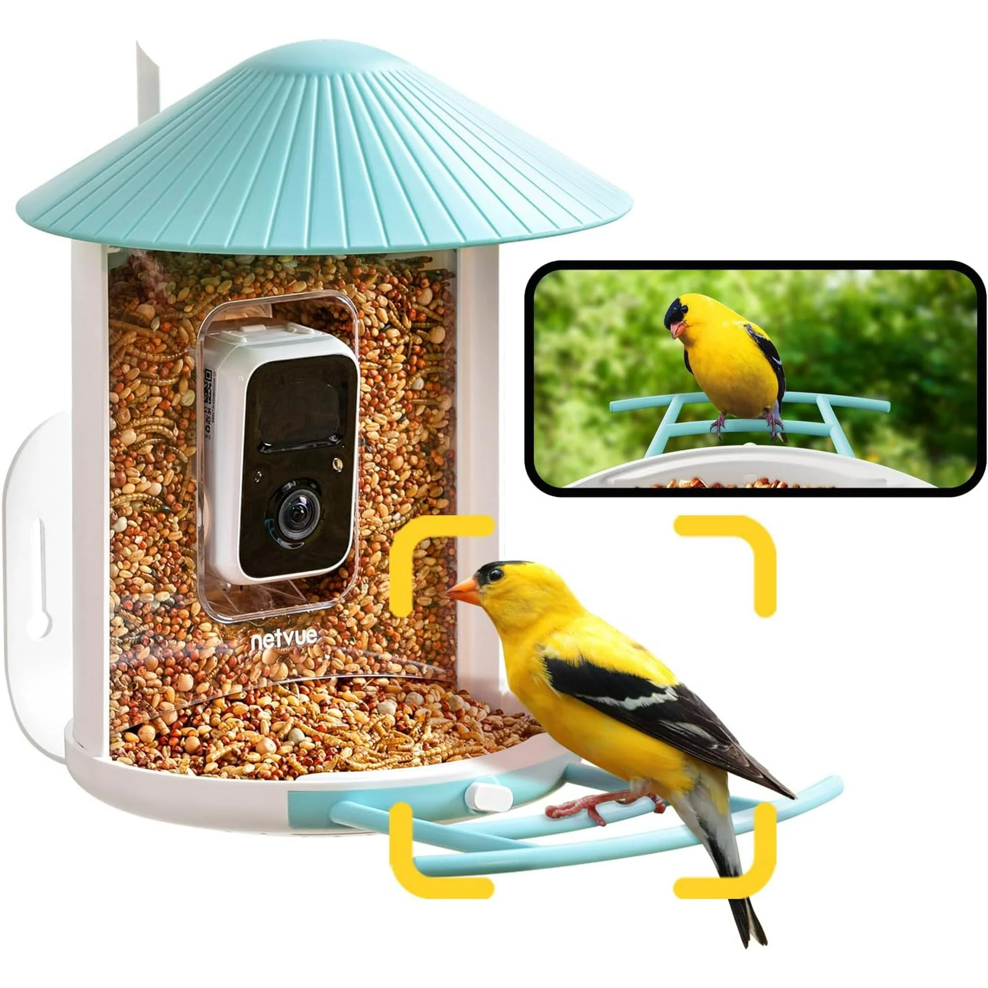 NETVUE Birdfy® Smart Bird Feeder with Camera