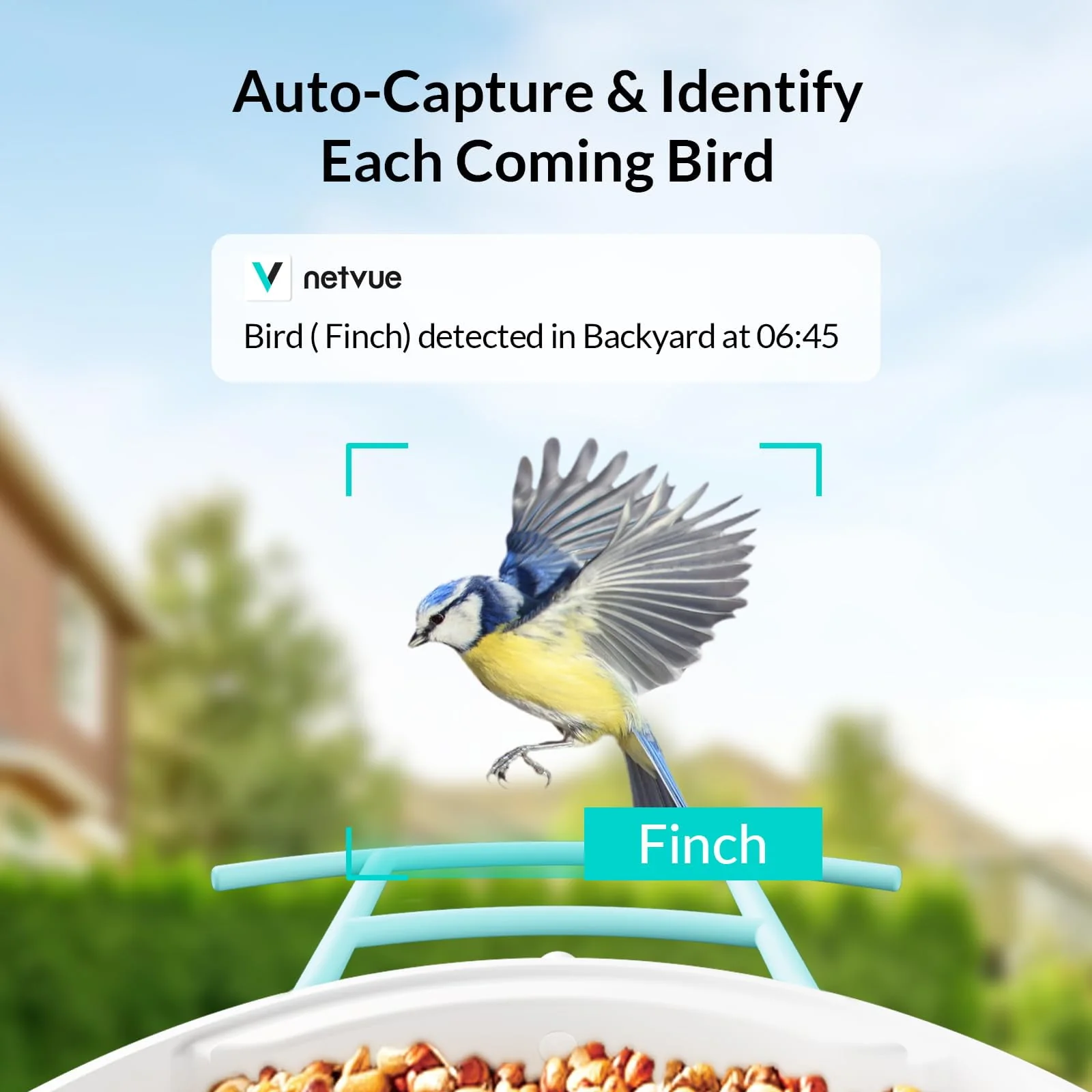 NETVUE Birdfy® Smart Bird Feeder with Camera - Image 2