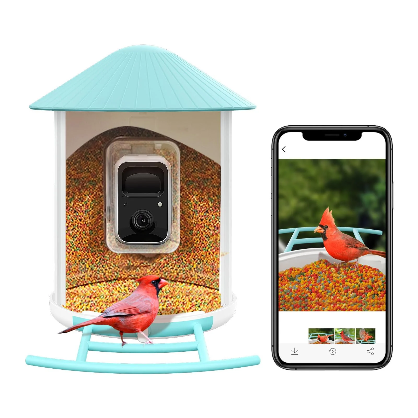 NETVUE Birdfy® Smart Bird Feeder with Camera - Image 3