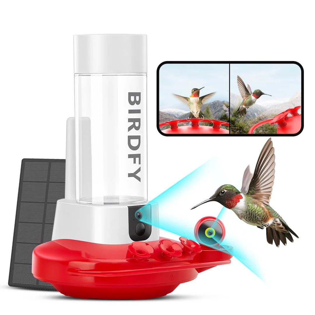 Netvue Birdfy Hummingbird Feeder with Dual Camera Free AI and Solar Panel