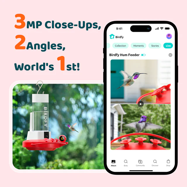Netvue Birdfy Hummingbird Feeder with Dual Camera Free AI and Solar Panel - Image 2
